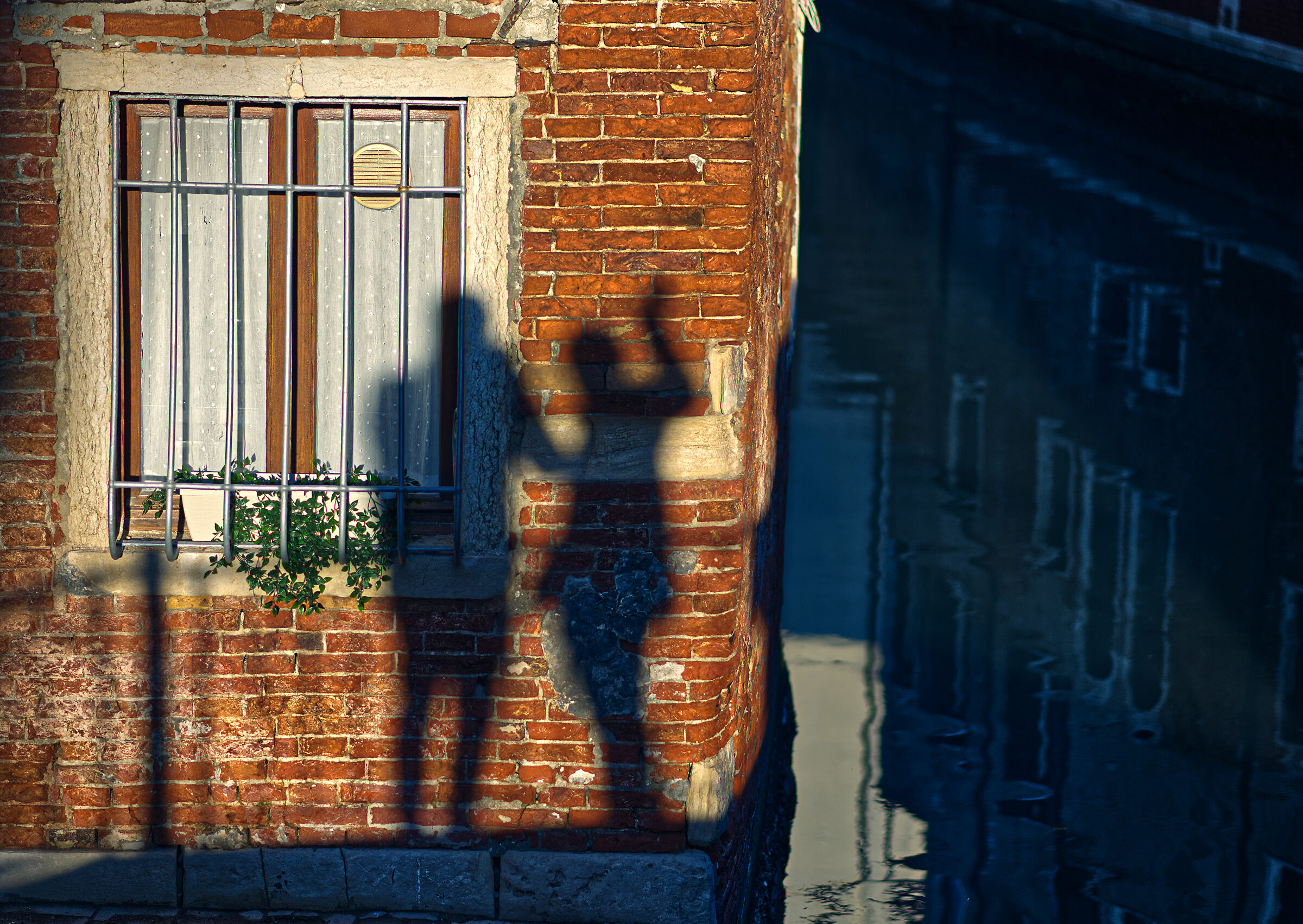 Un saluto da lontano