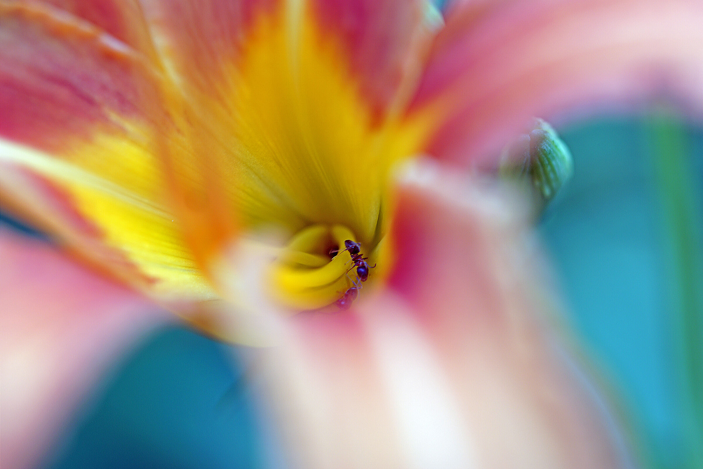 Untitled Photo