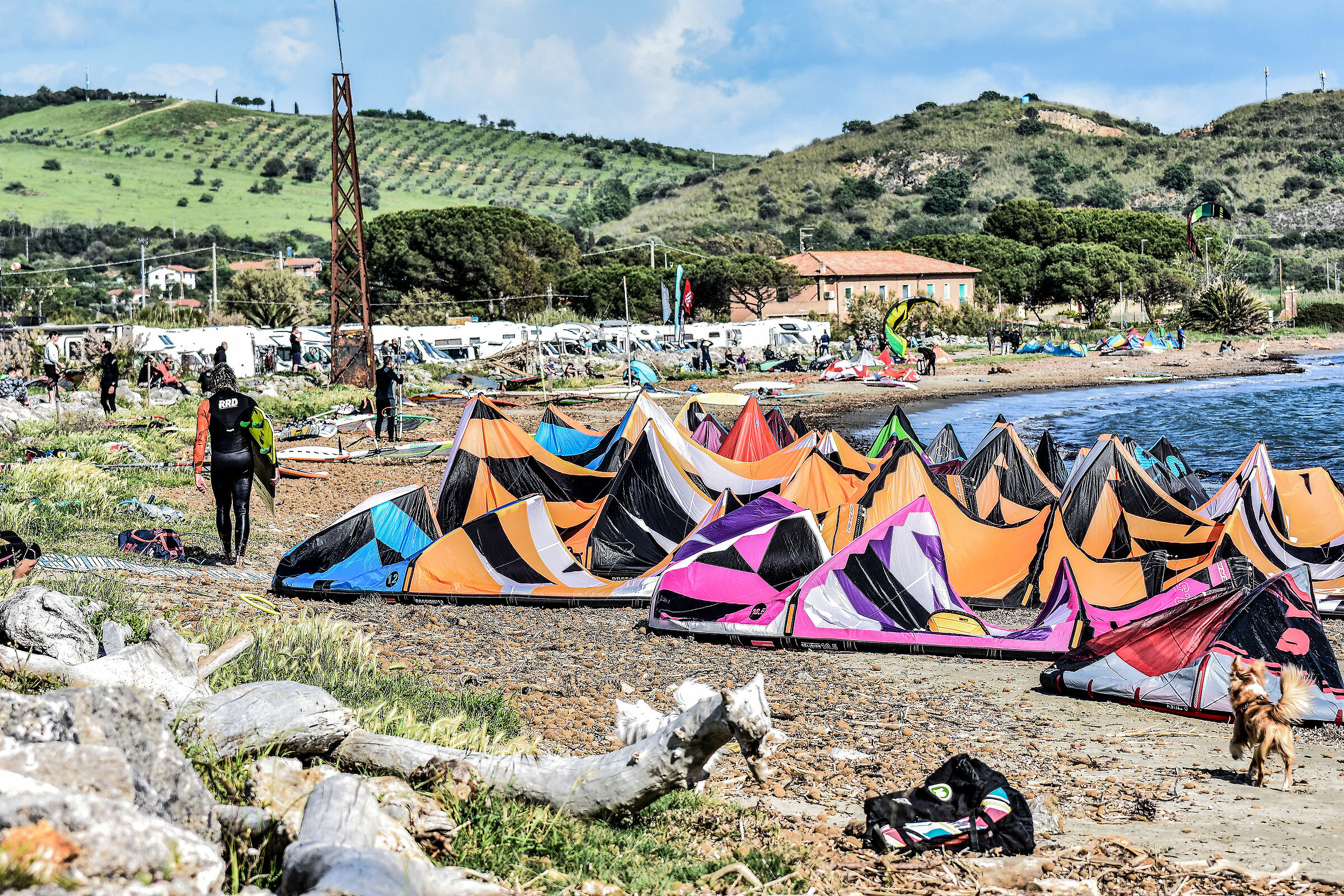 si rialzeranno in volo ?