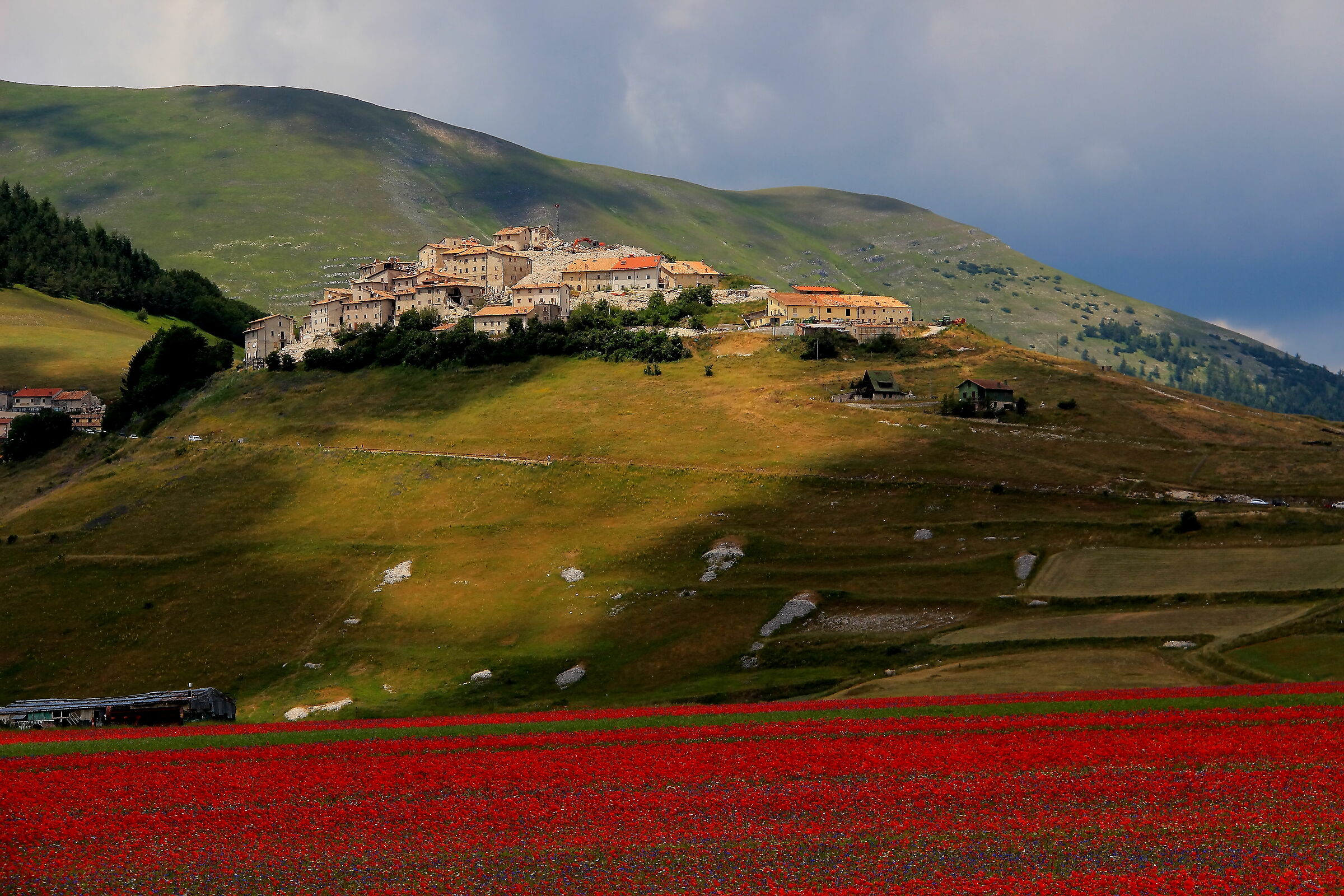 ... ancora Castelluccio