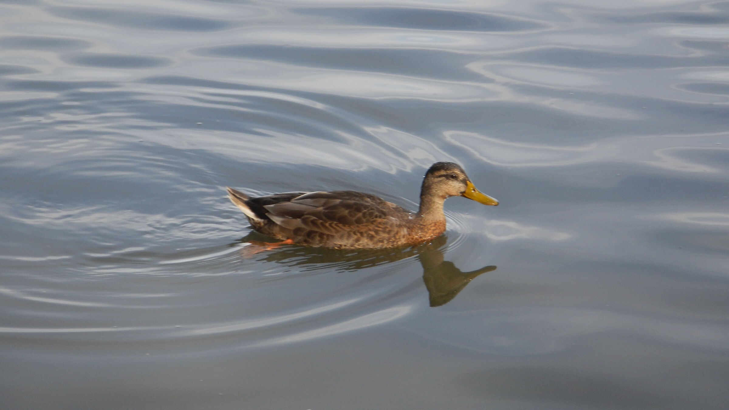 Blessed she can get out...