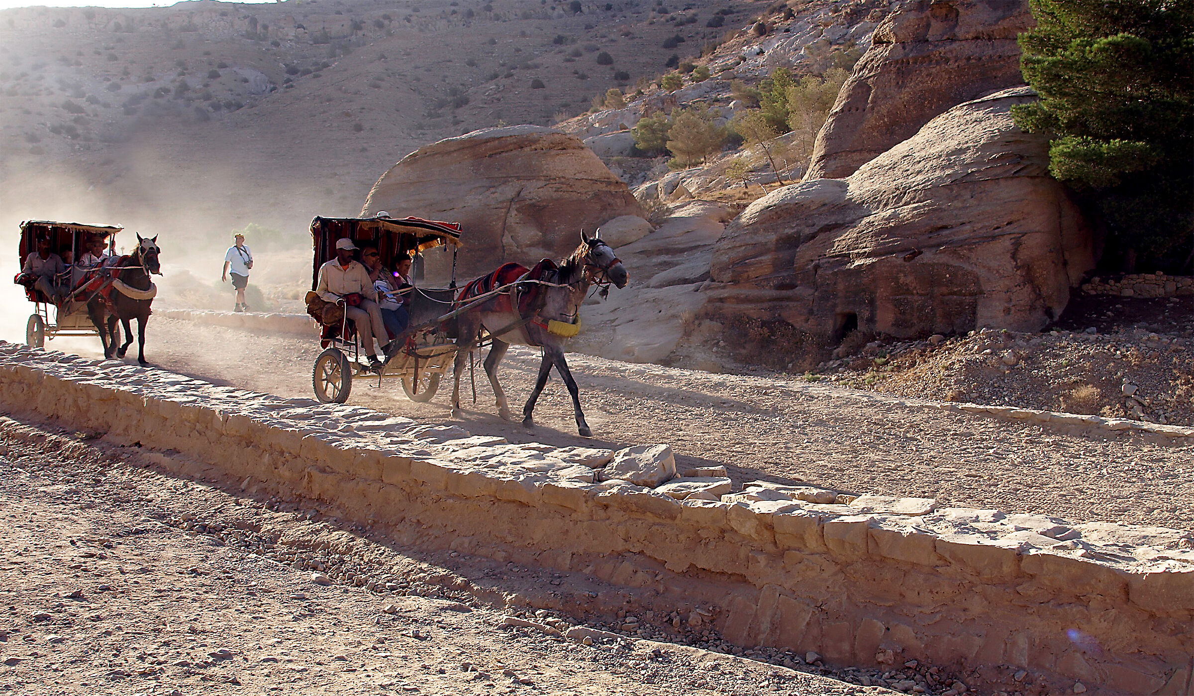 Wheelchairs in Petra - Jordan
