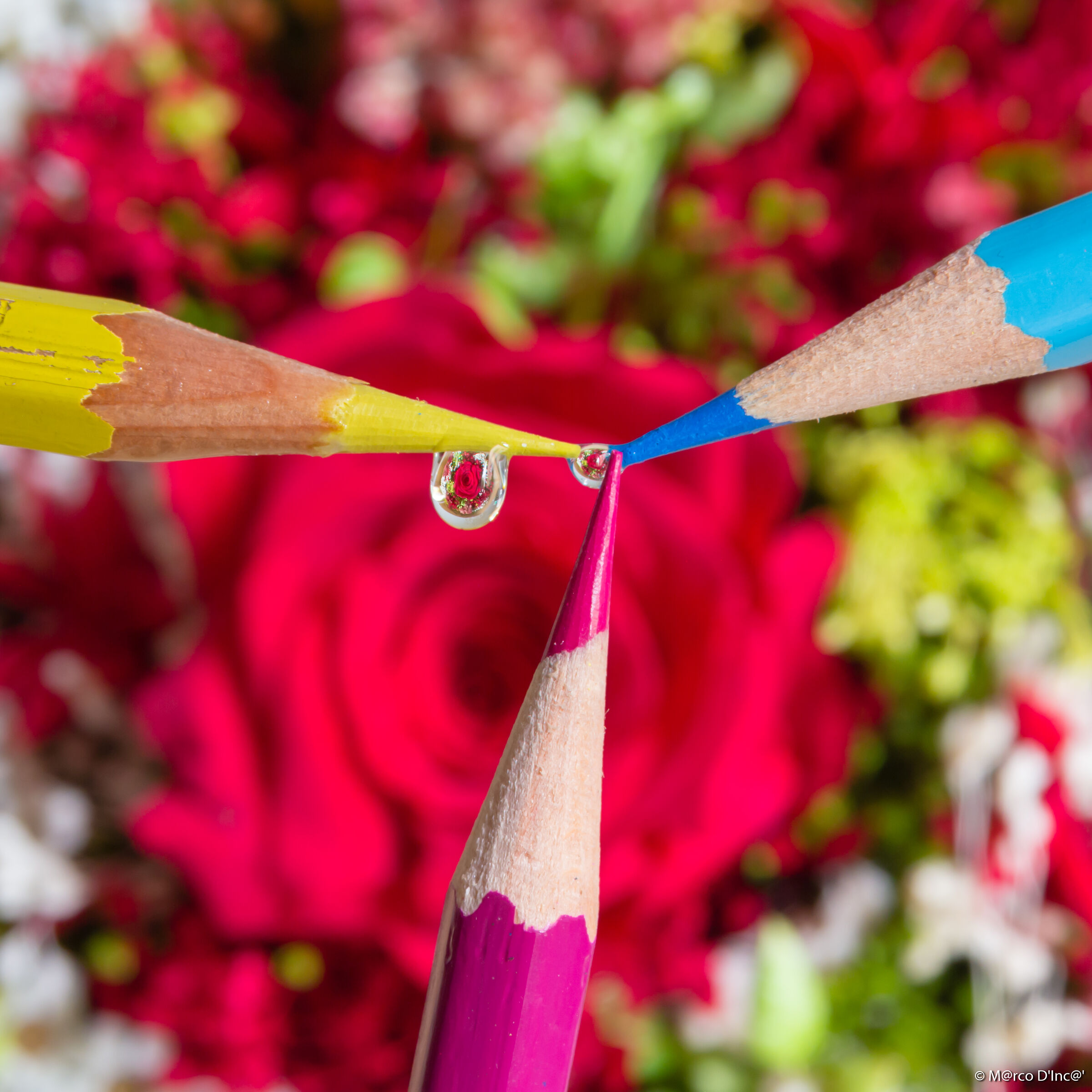 the three pencils and the rose inside the water drop