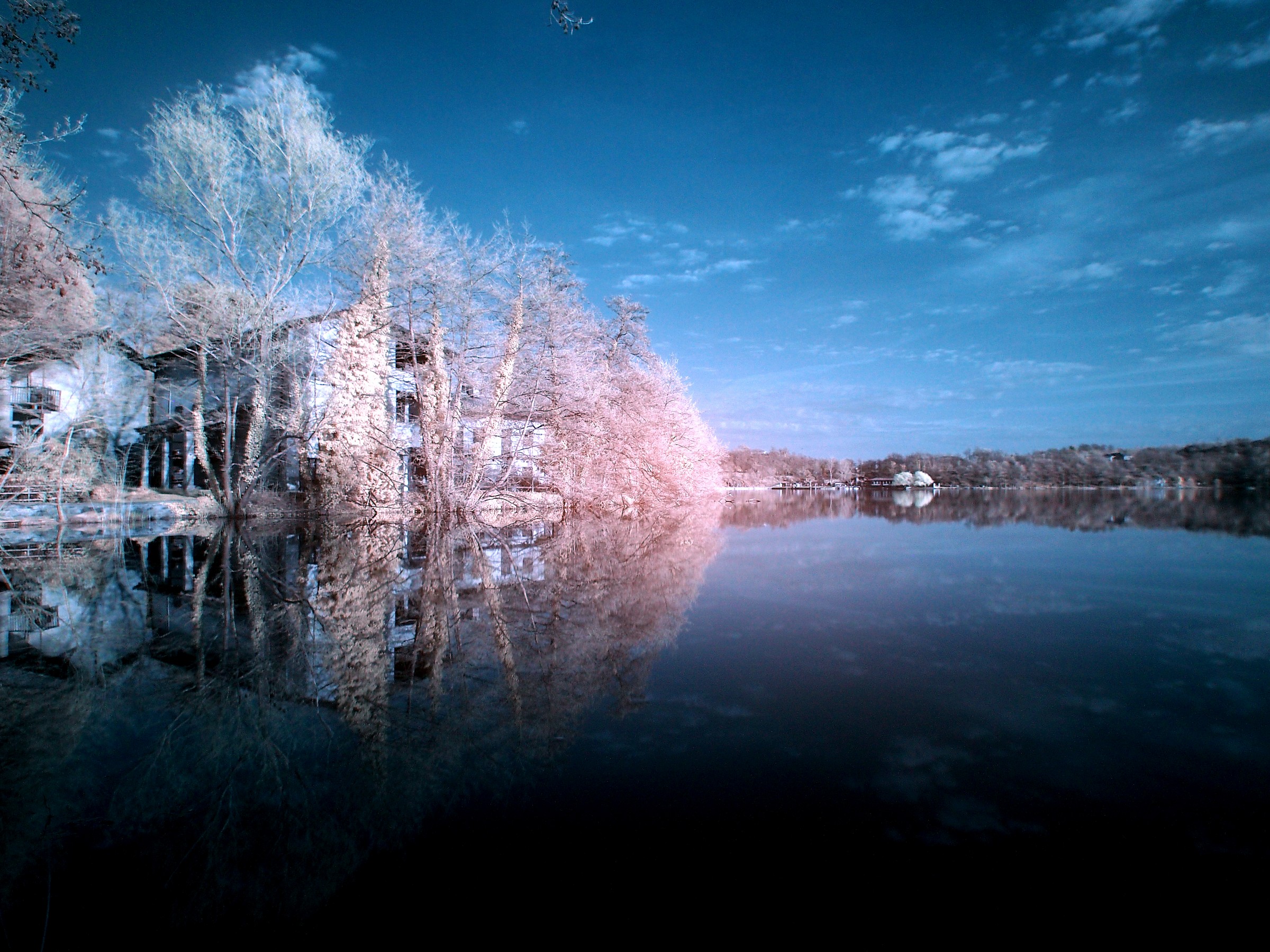 Il mio lago versione infrarosso