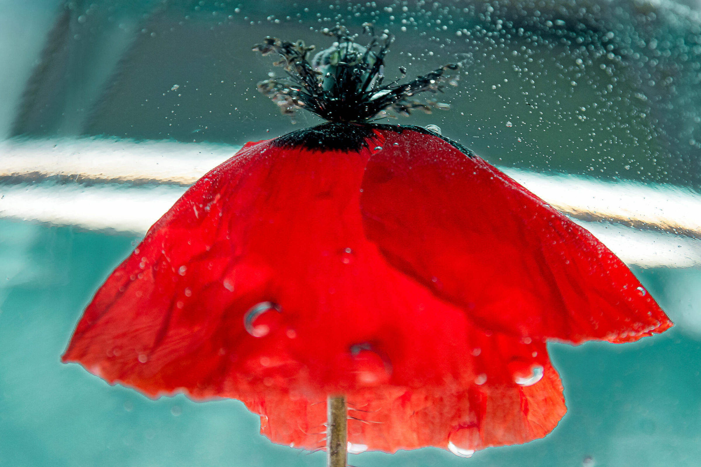 coronavirus time... you do what you can,dance