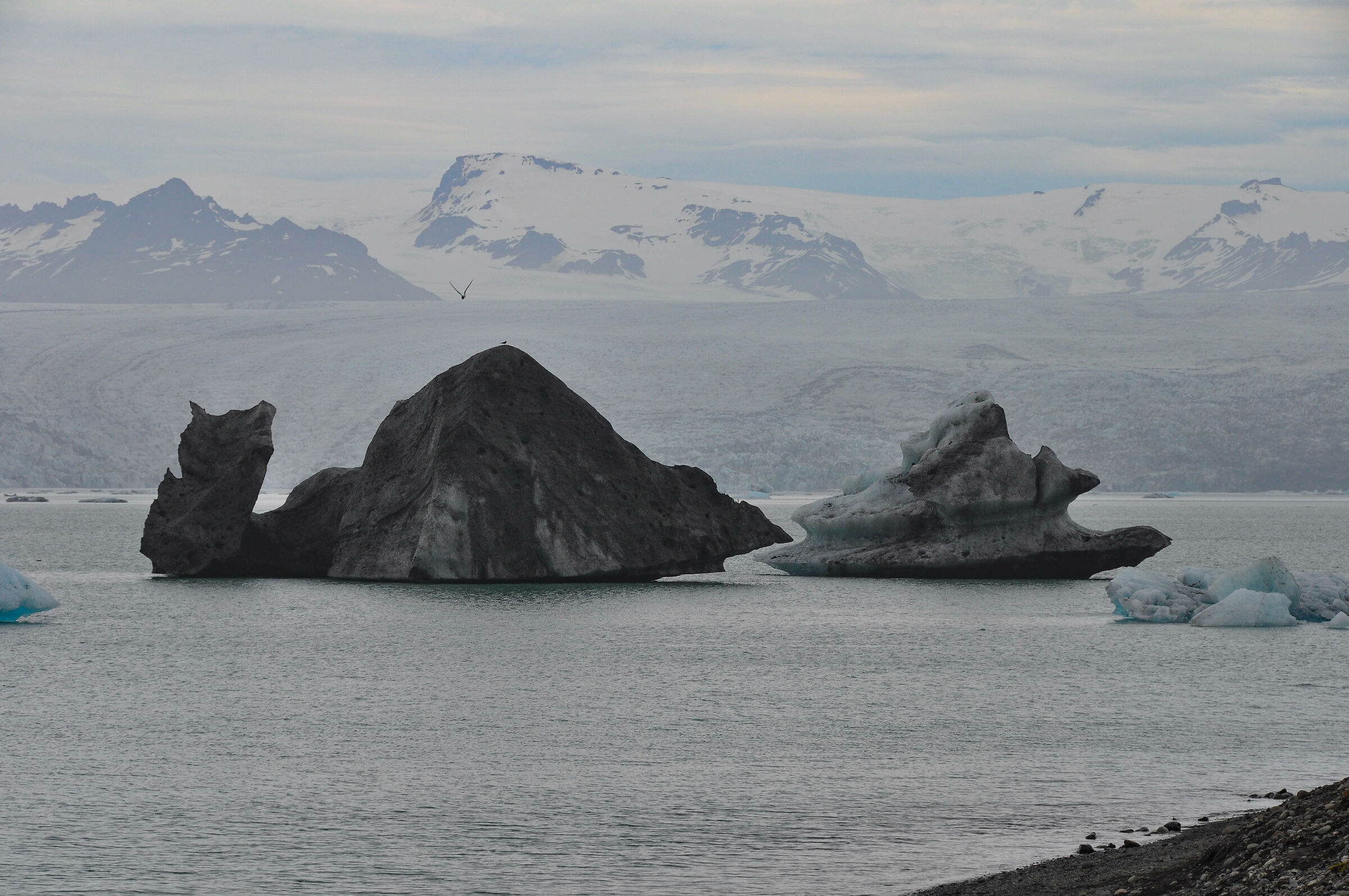 la lumaca di ghiaccio