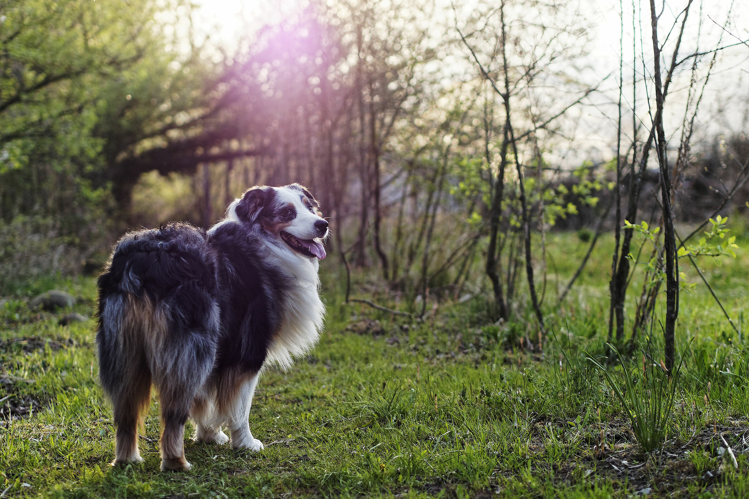 6 quiet steps at sunset.