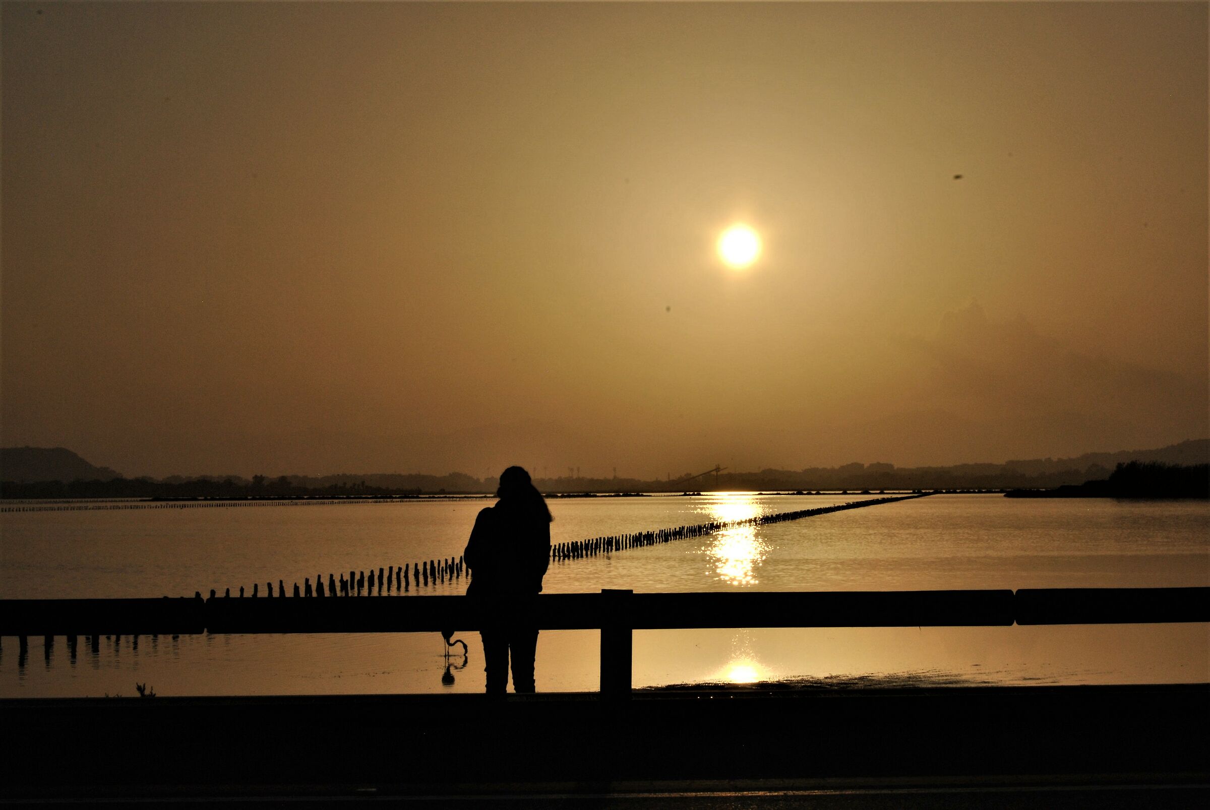 Another day greets us, we hope for a better dawn