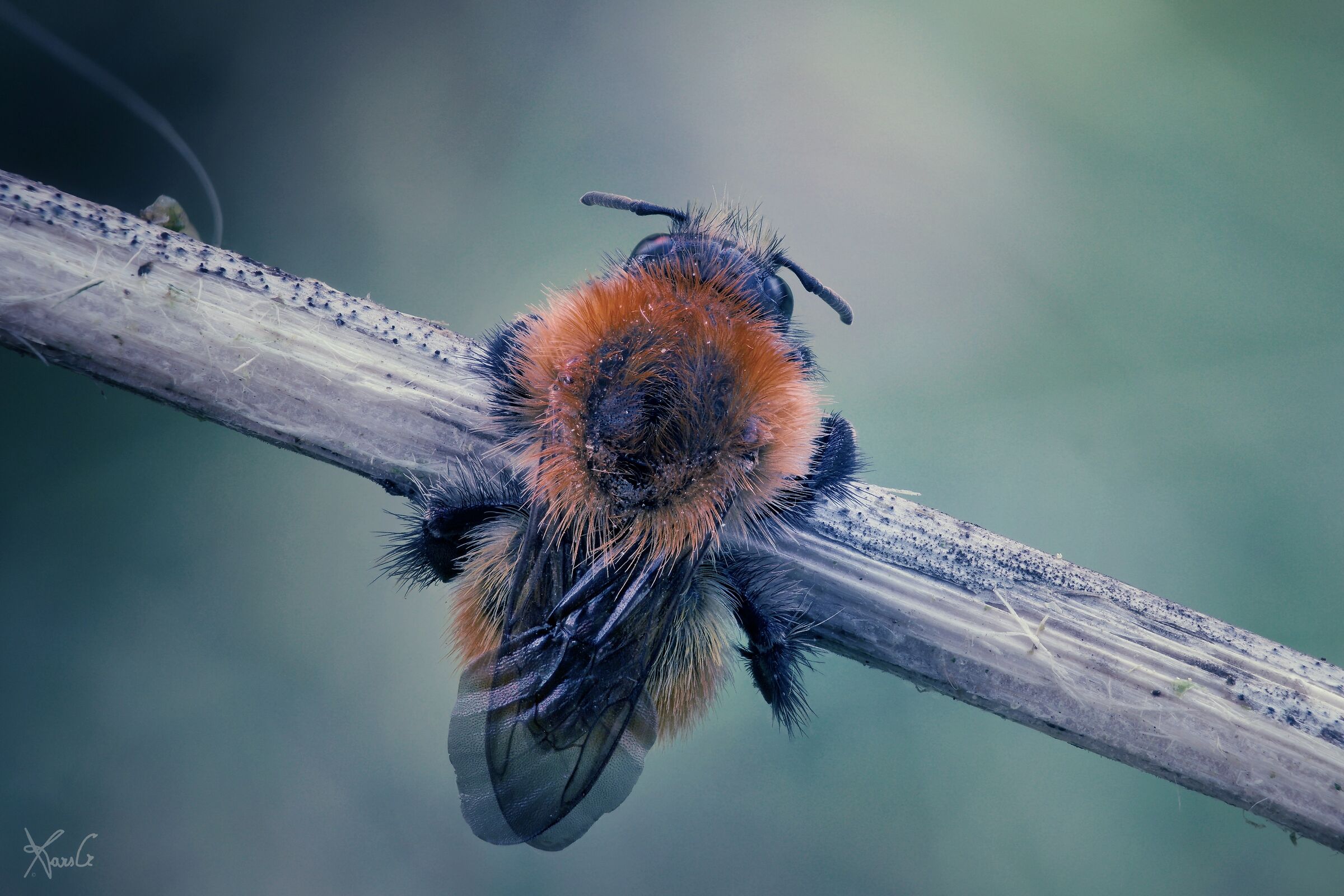 In the light of the storm