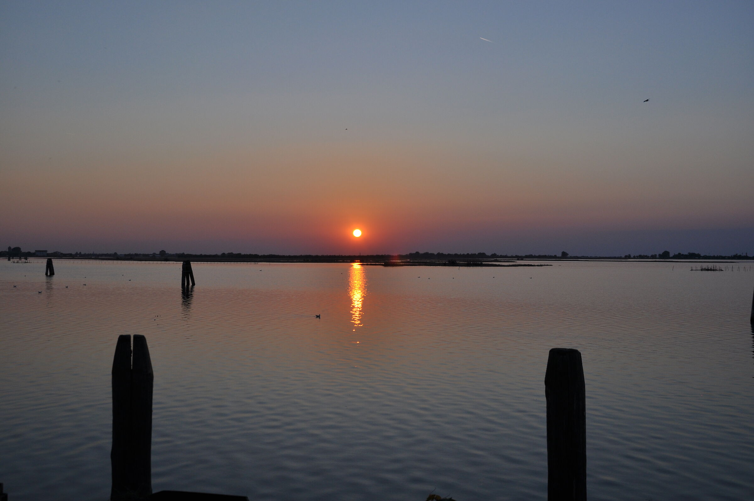 sunset in the lagoon
