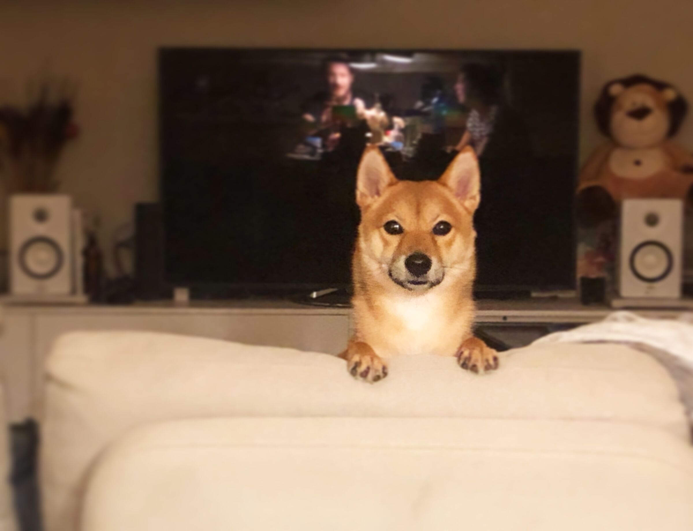 Sup there?!?