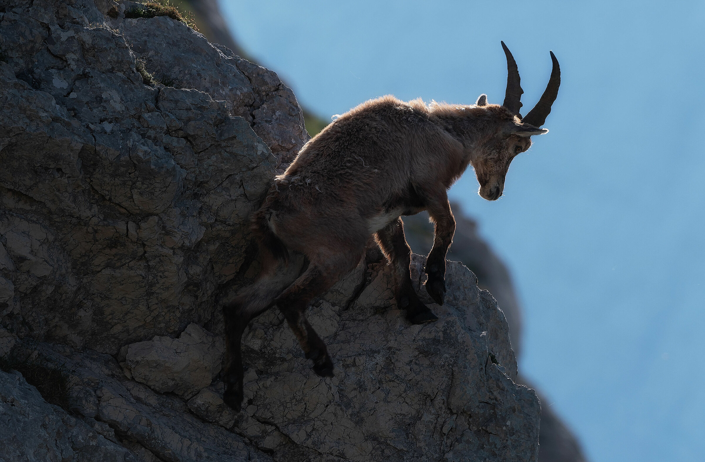 Arrampicata