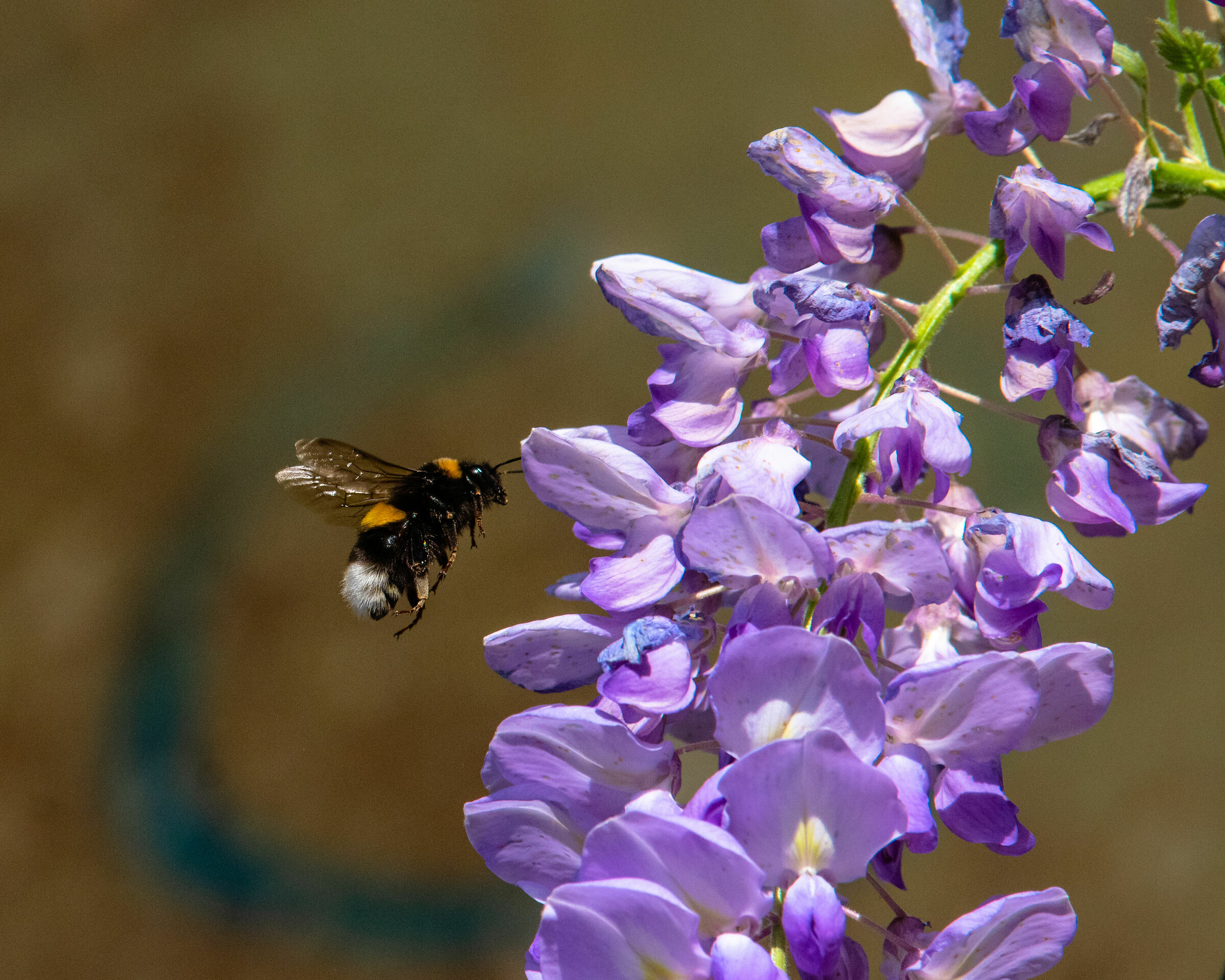 On the fly - In flight