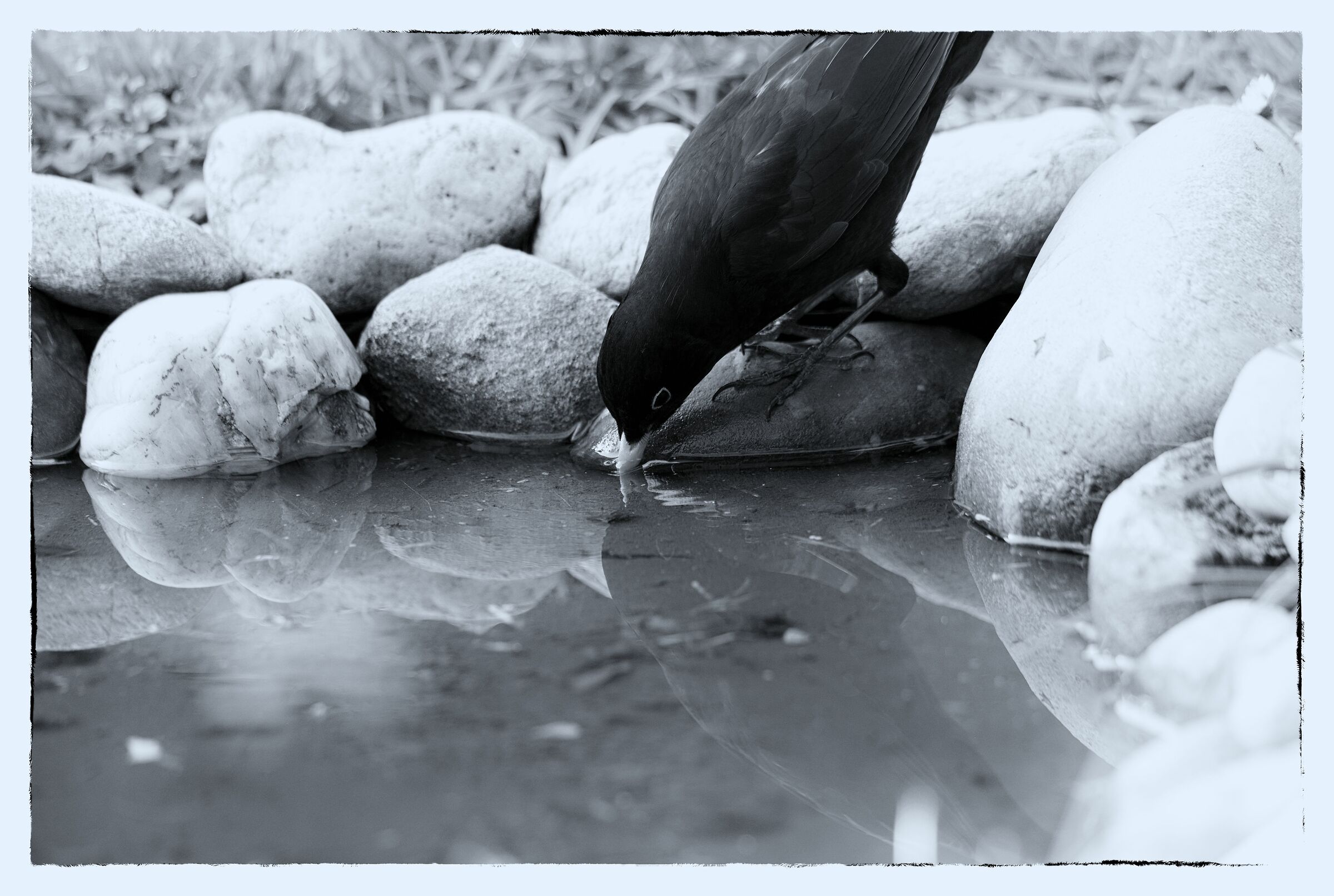 Reflections