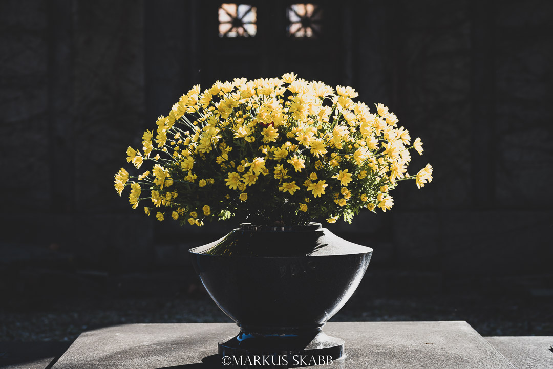 La presenza di una assenza