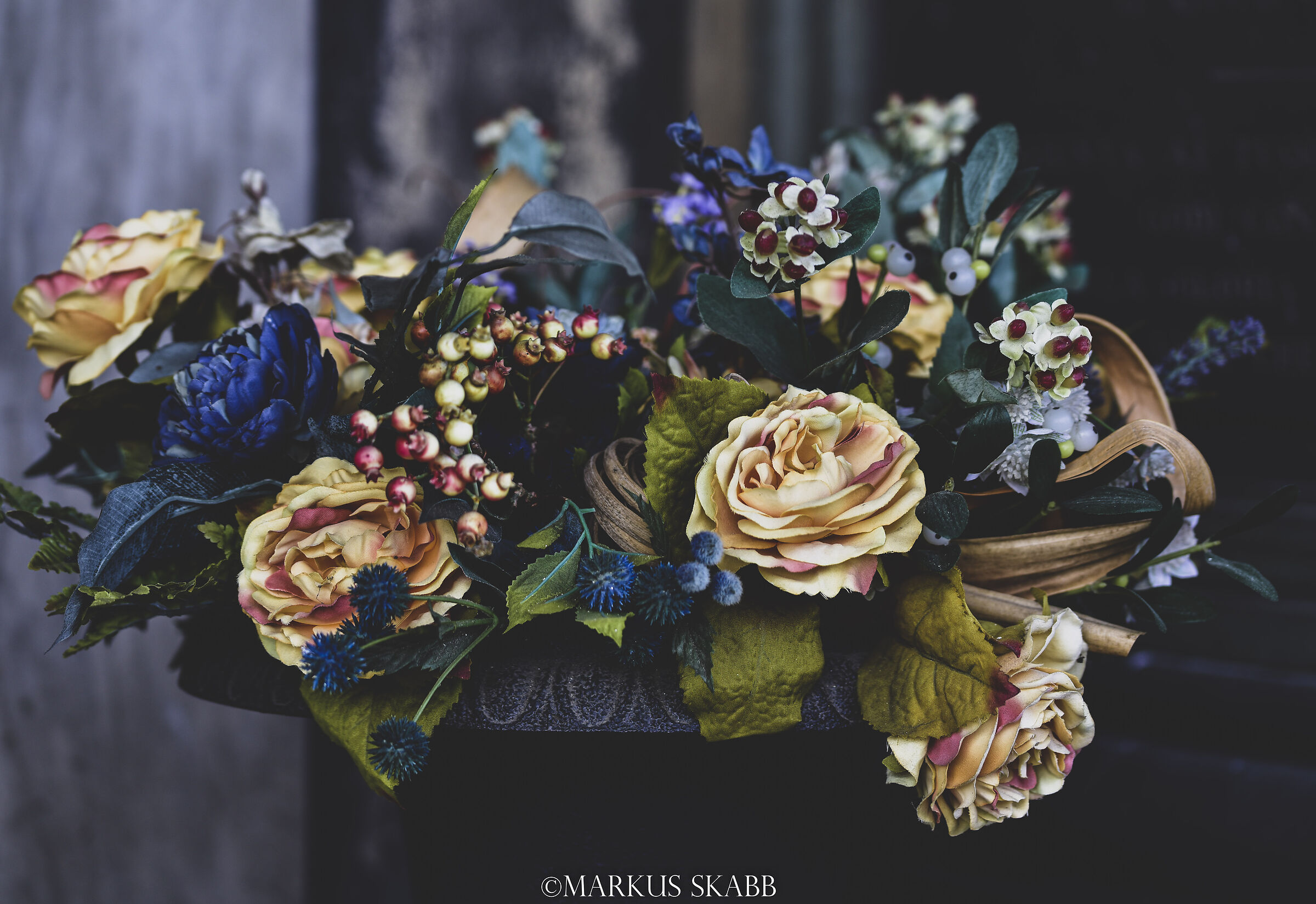 Telaccia non ti scordar di me