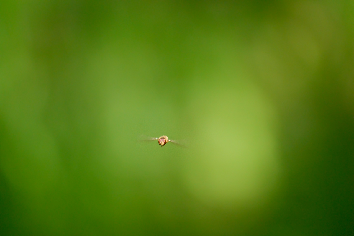Untitled Photo