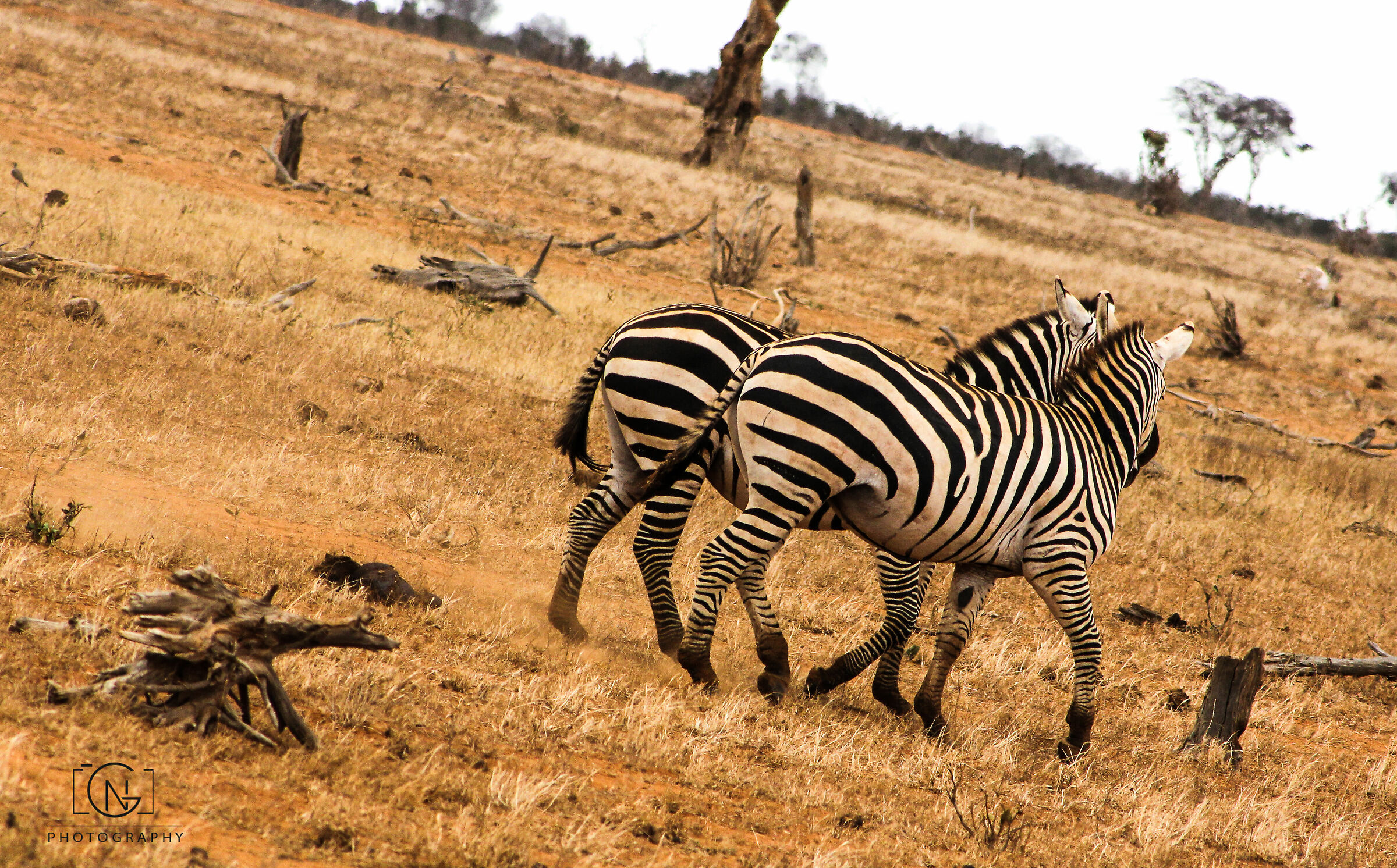 Tsavo East - Tsavo National Park East