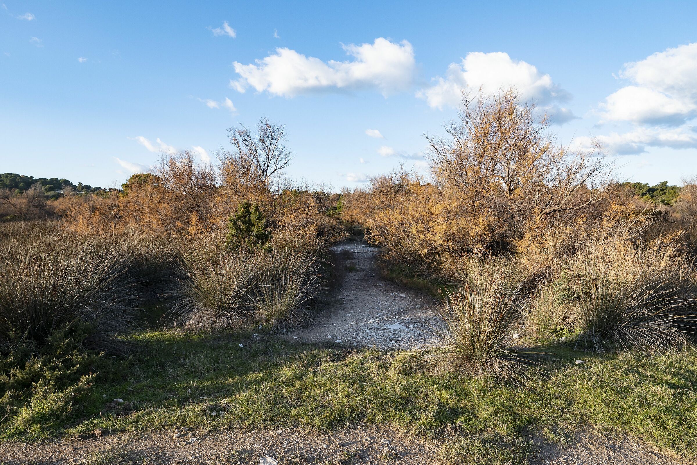the walk - the tundra
