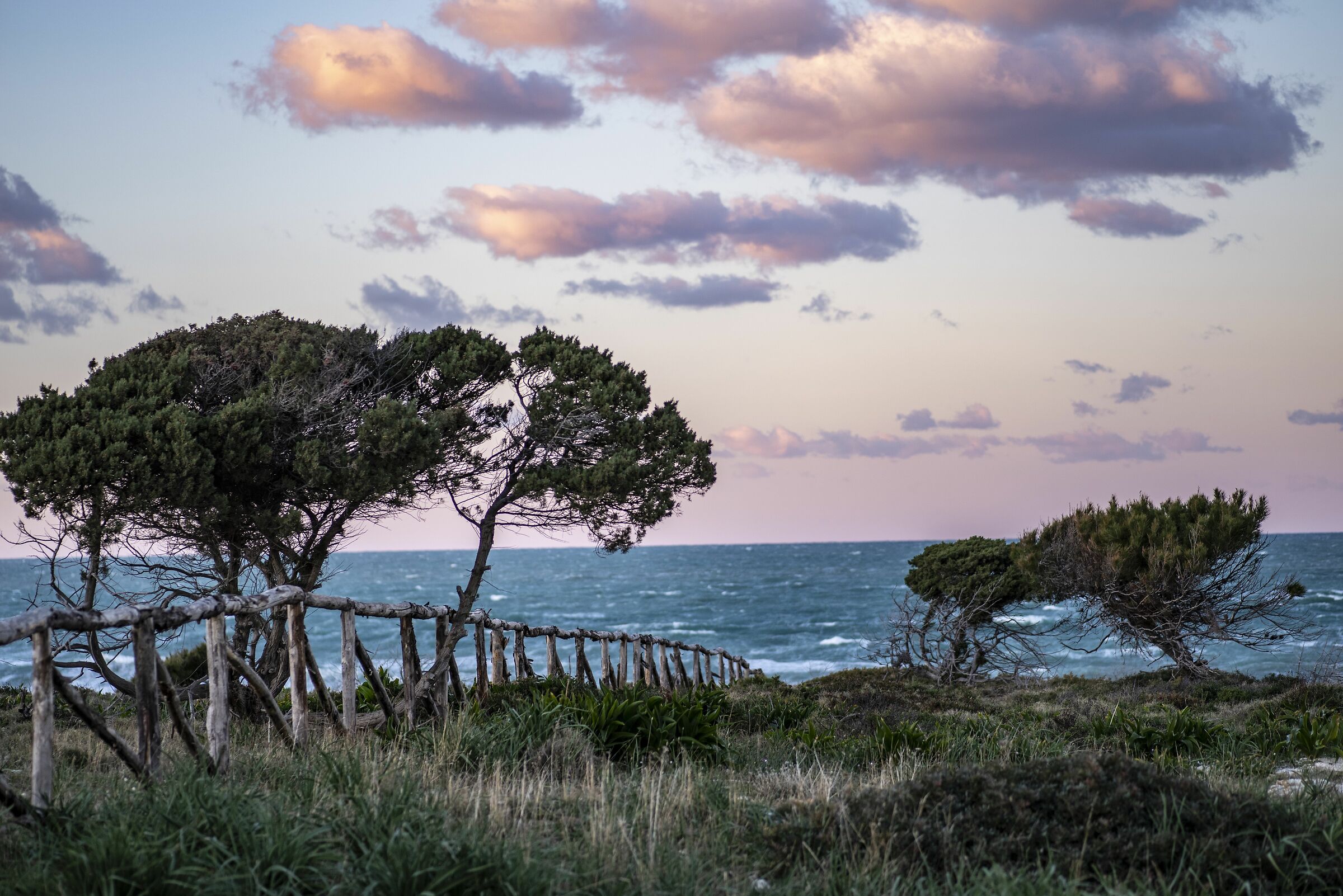 the walk -- the fence