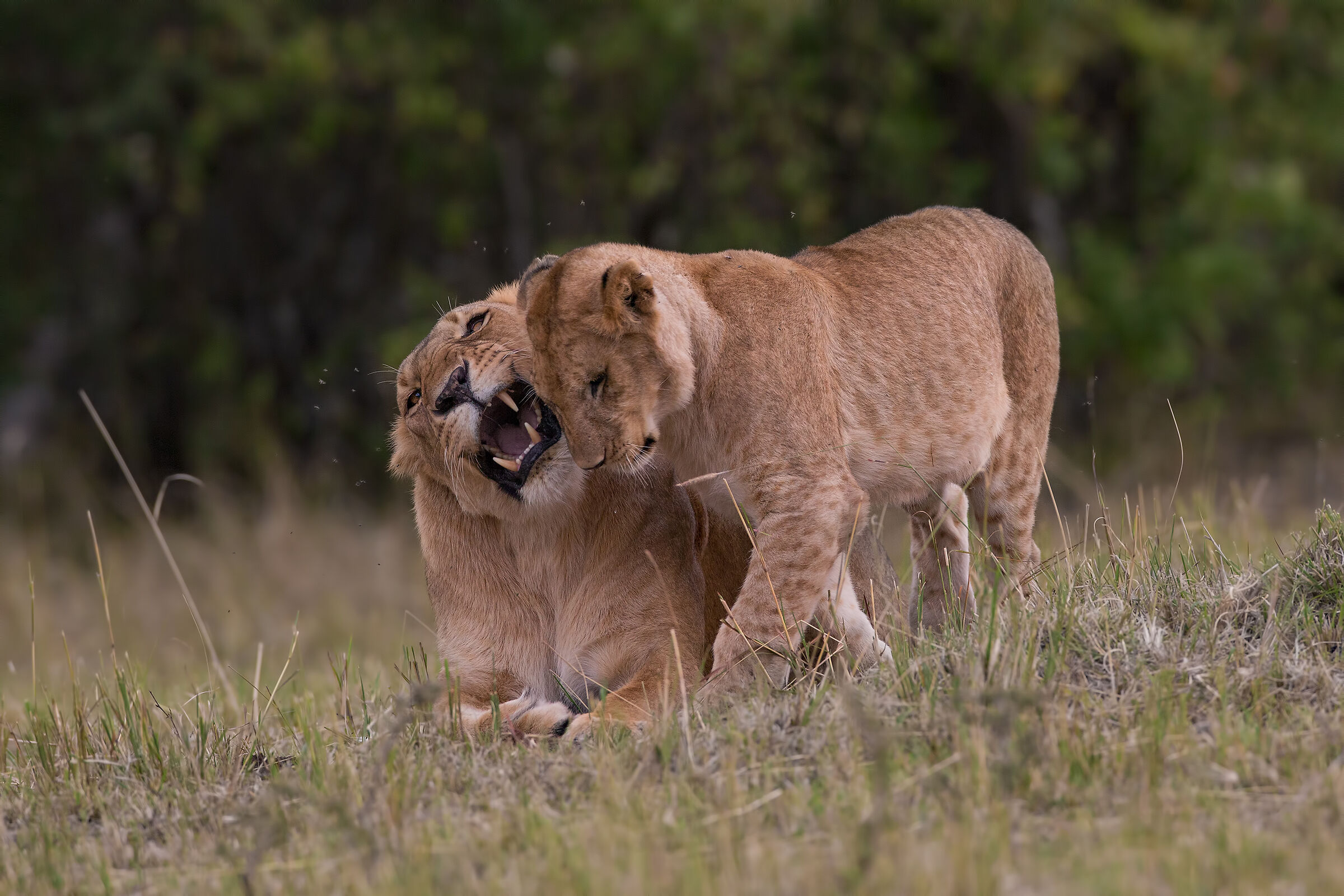 Moments of... Tenderness