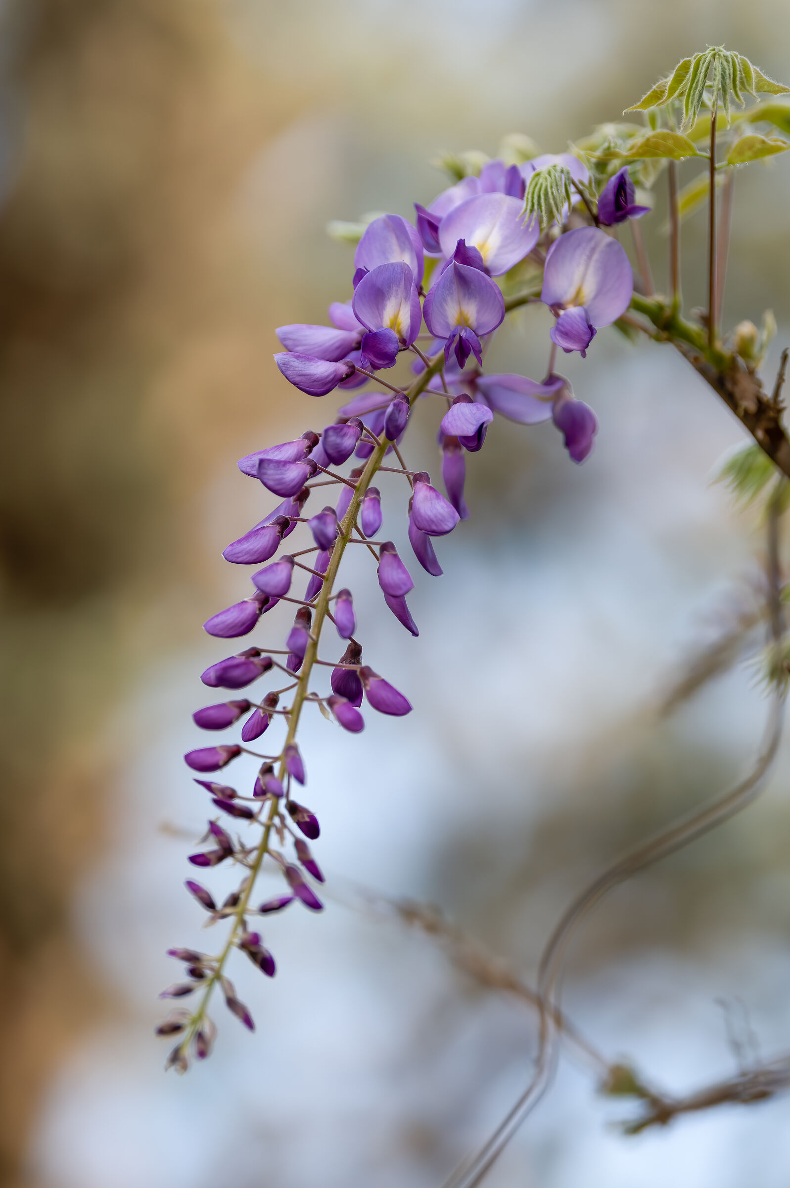 Untitled Photo