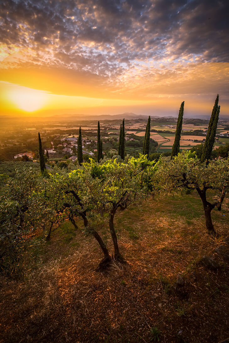 Terre Umbre