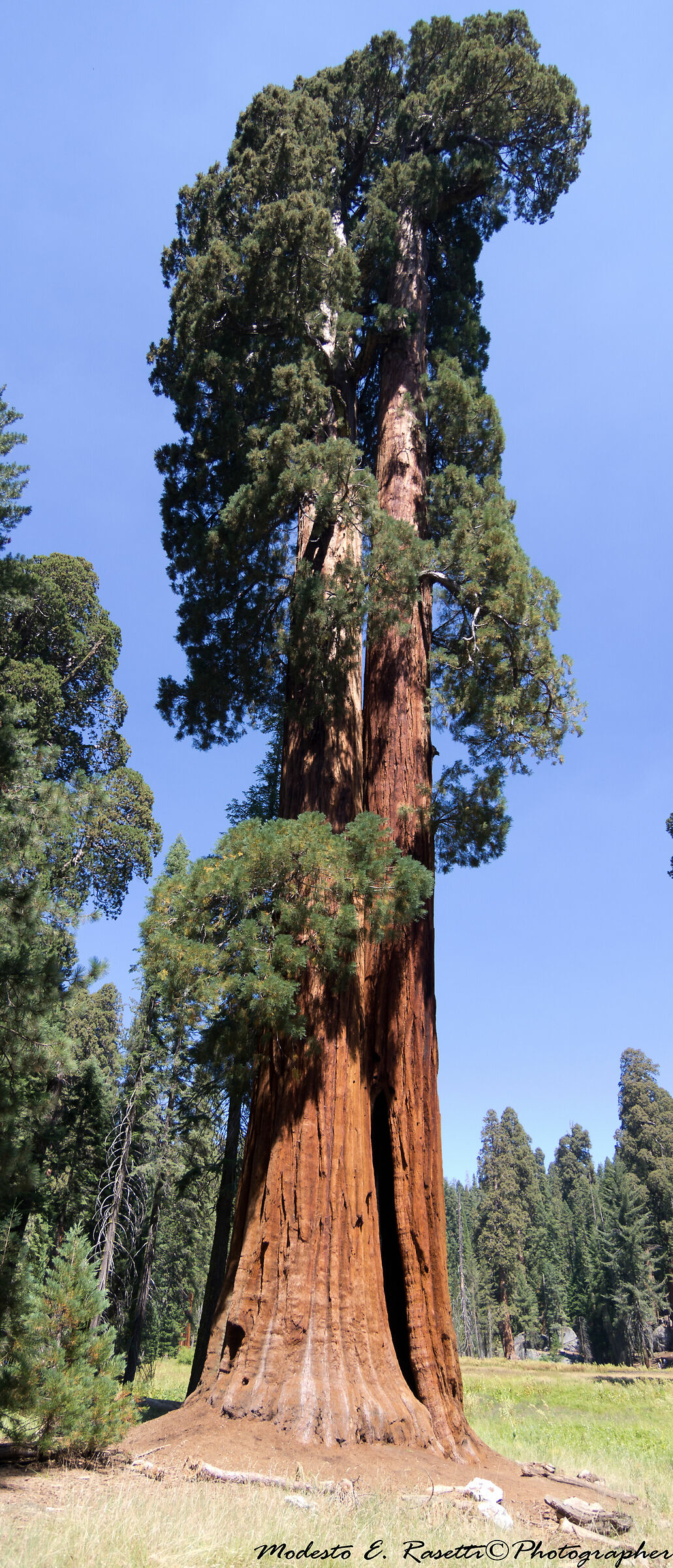 redwood national park