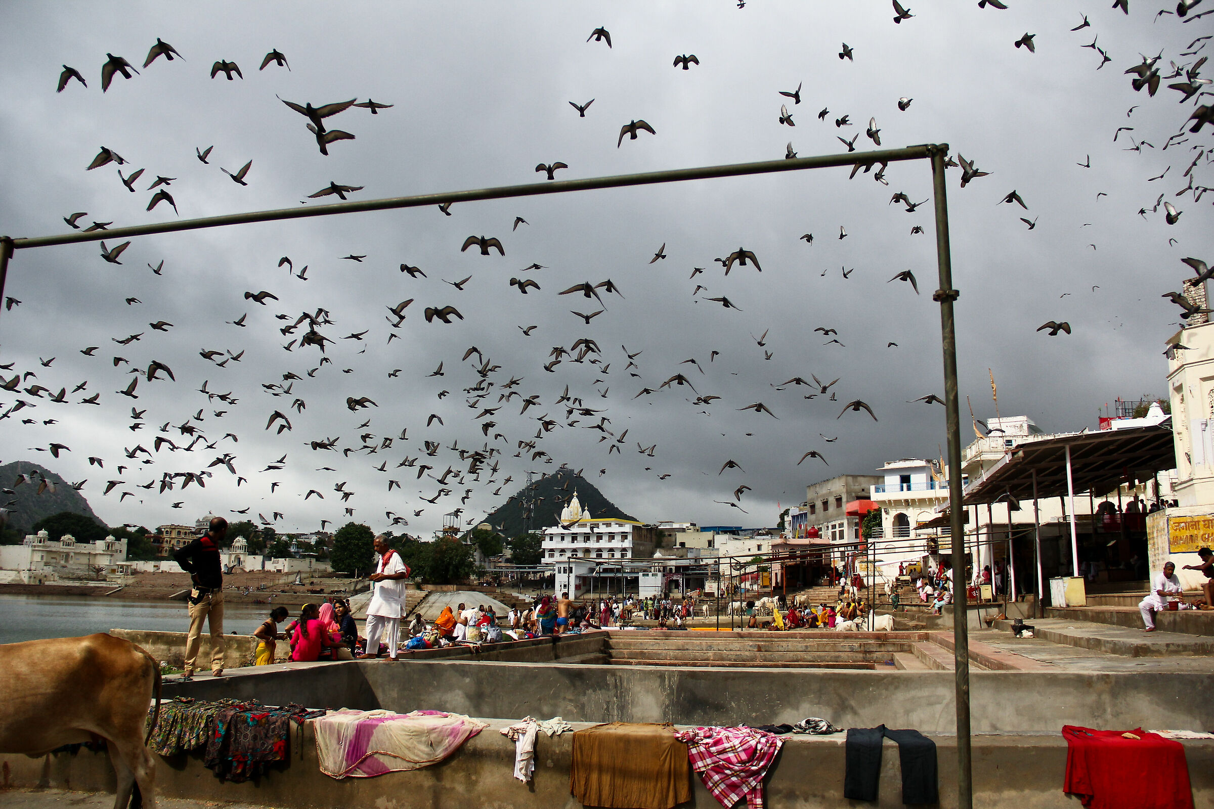 Pushkar Ghat