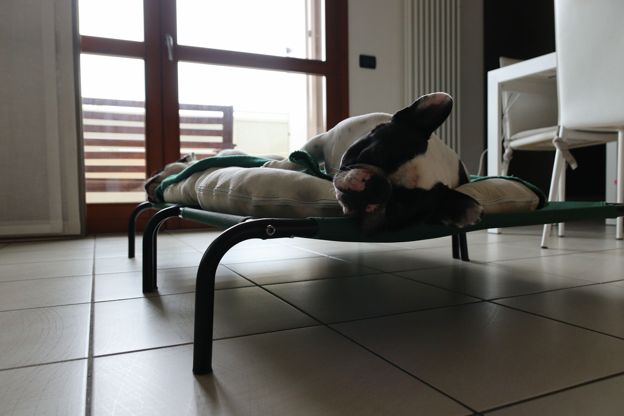 My view from sigma 17-50: 17 mm