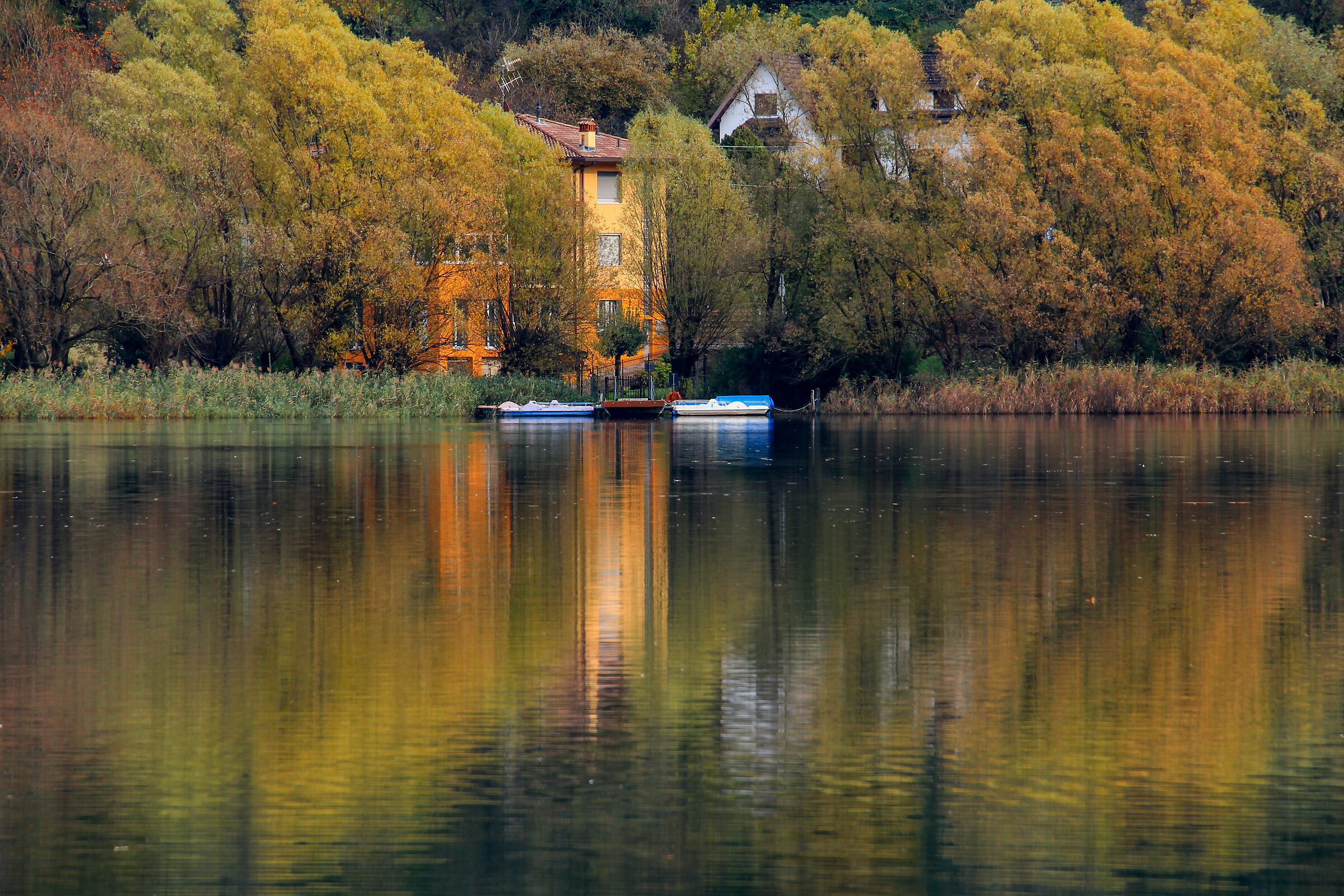 ultimi colori d'autunno