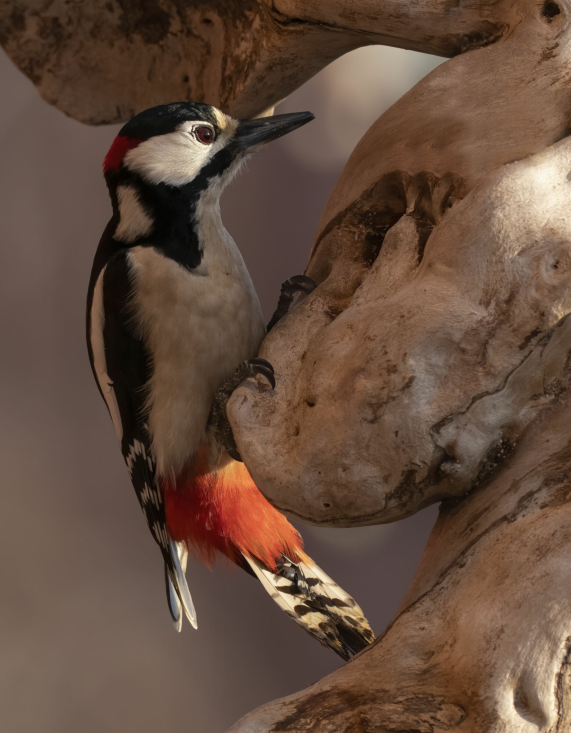 Quando lo sguardo va oltre...