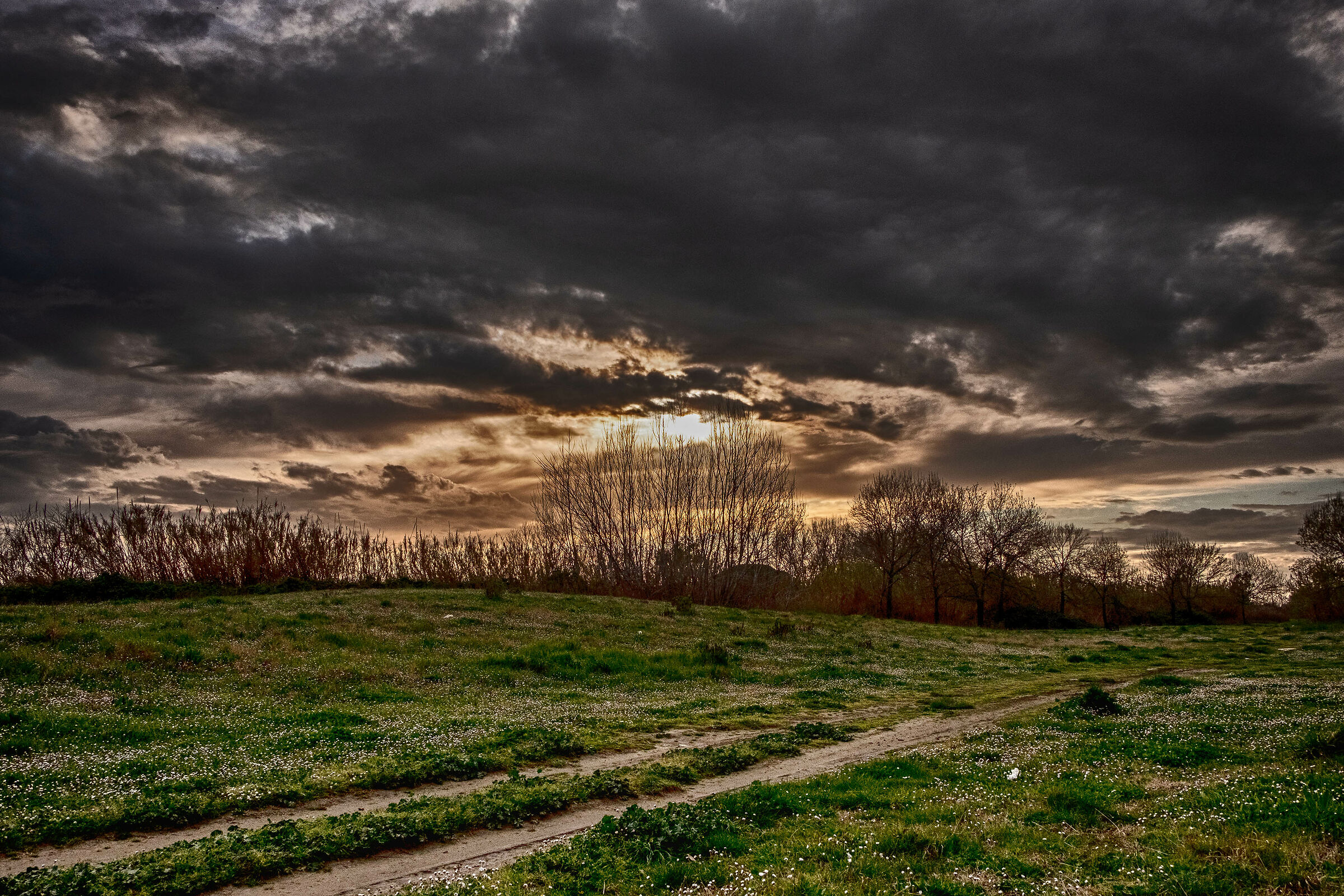 Tramonto da un'area golenale del Volturno