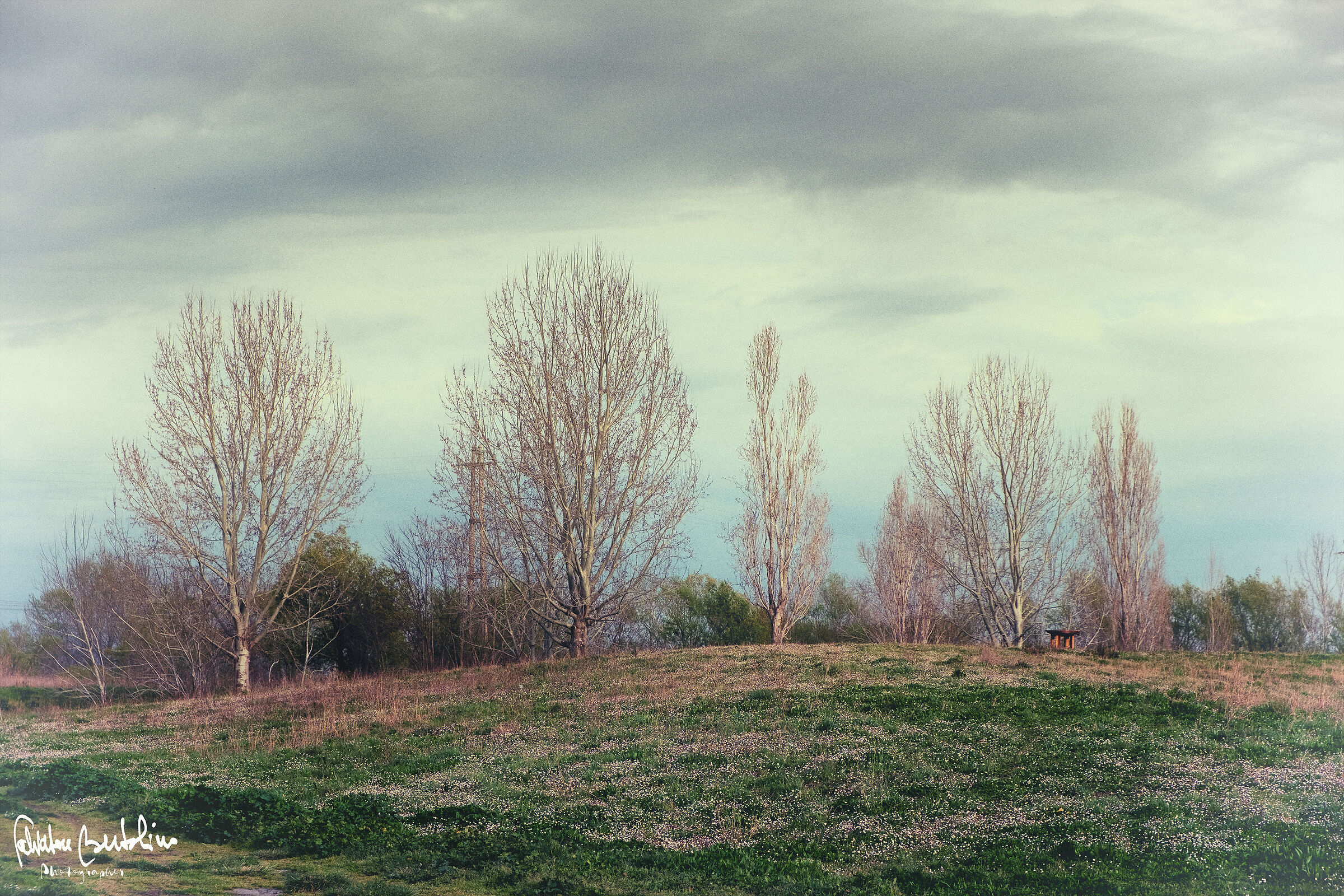 Area golenale del Volturno