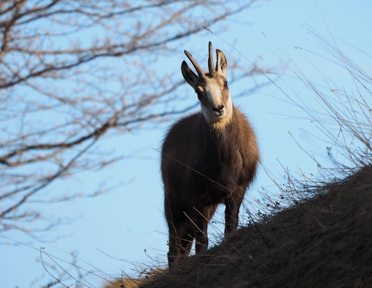 Ancora faccia a faccia