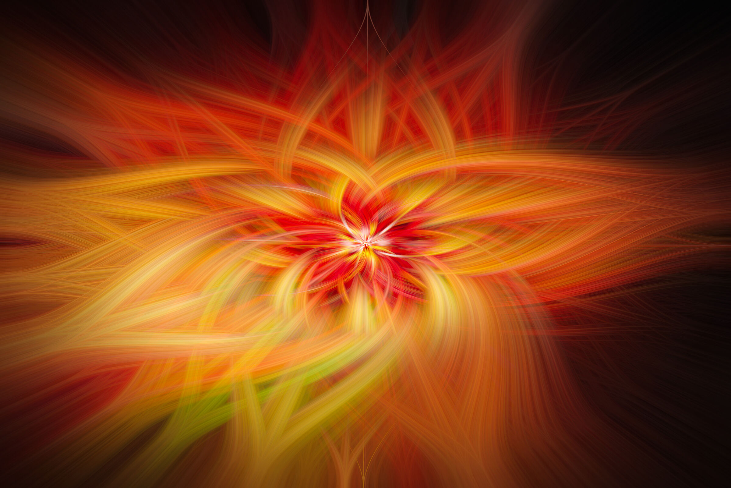 twirl 2