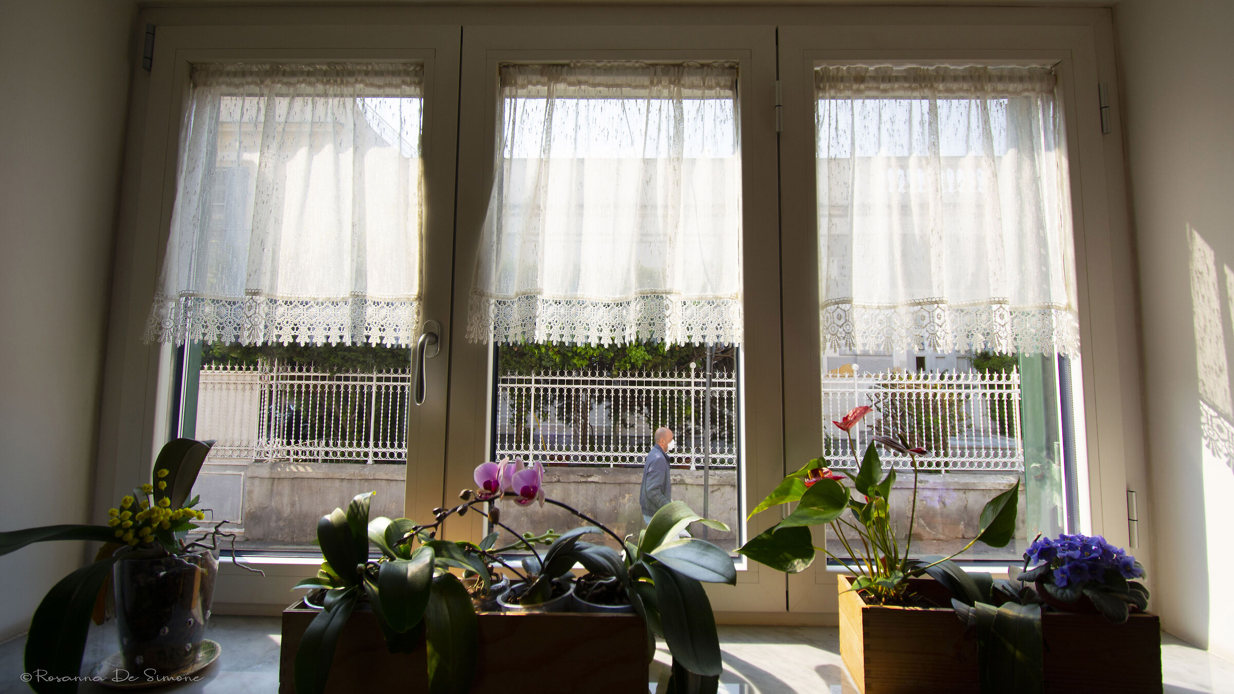 Quarantine horizon (with intruder)