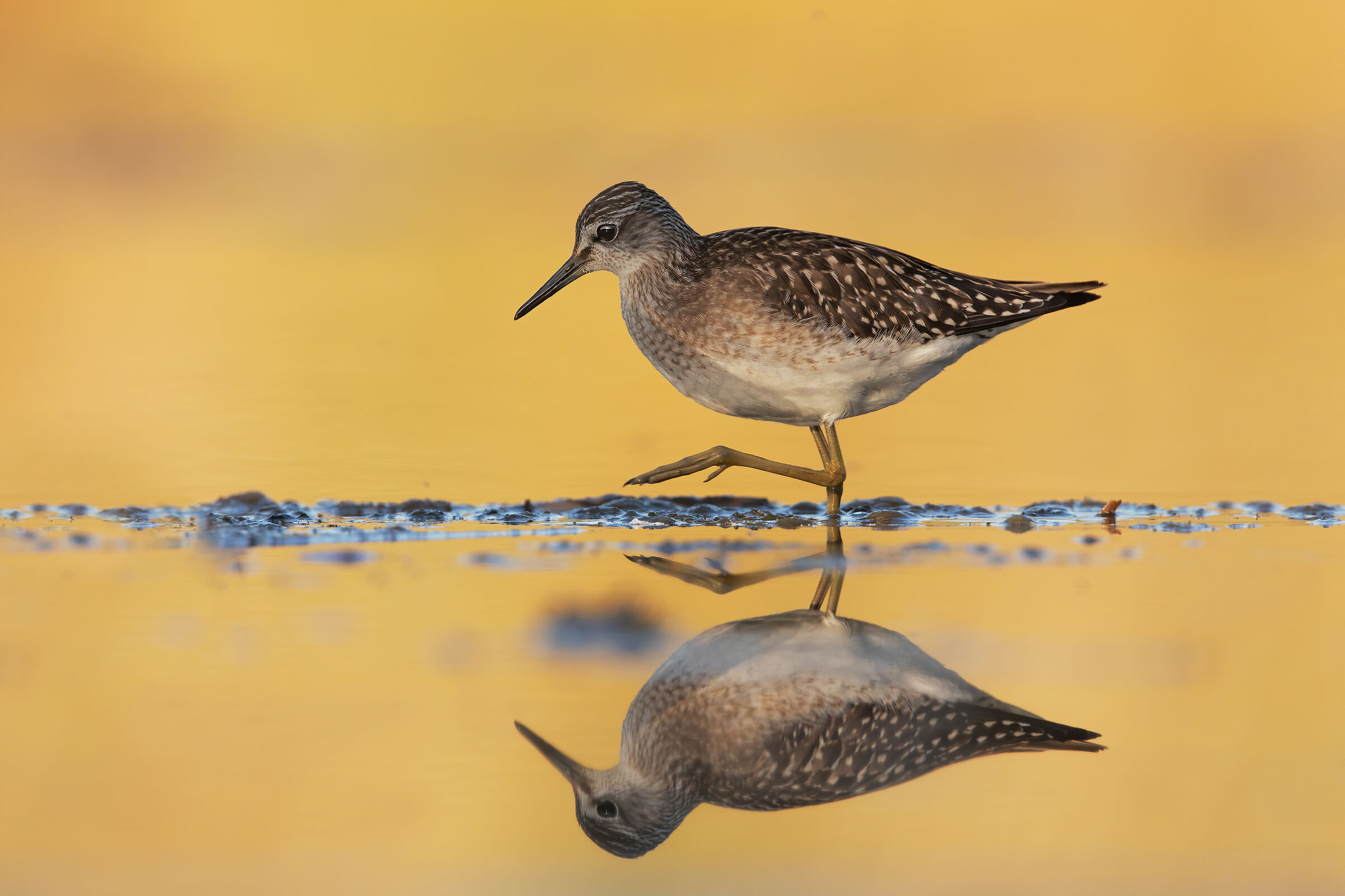 pyro pyro.... a special sunrise