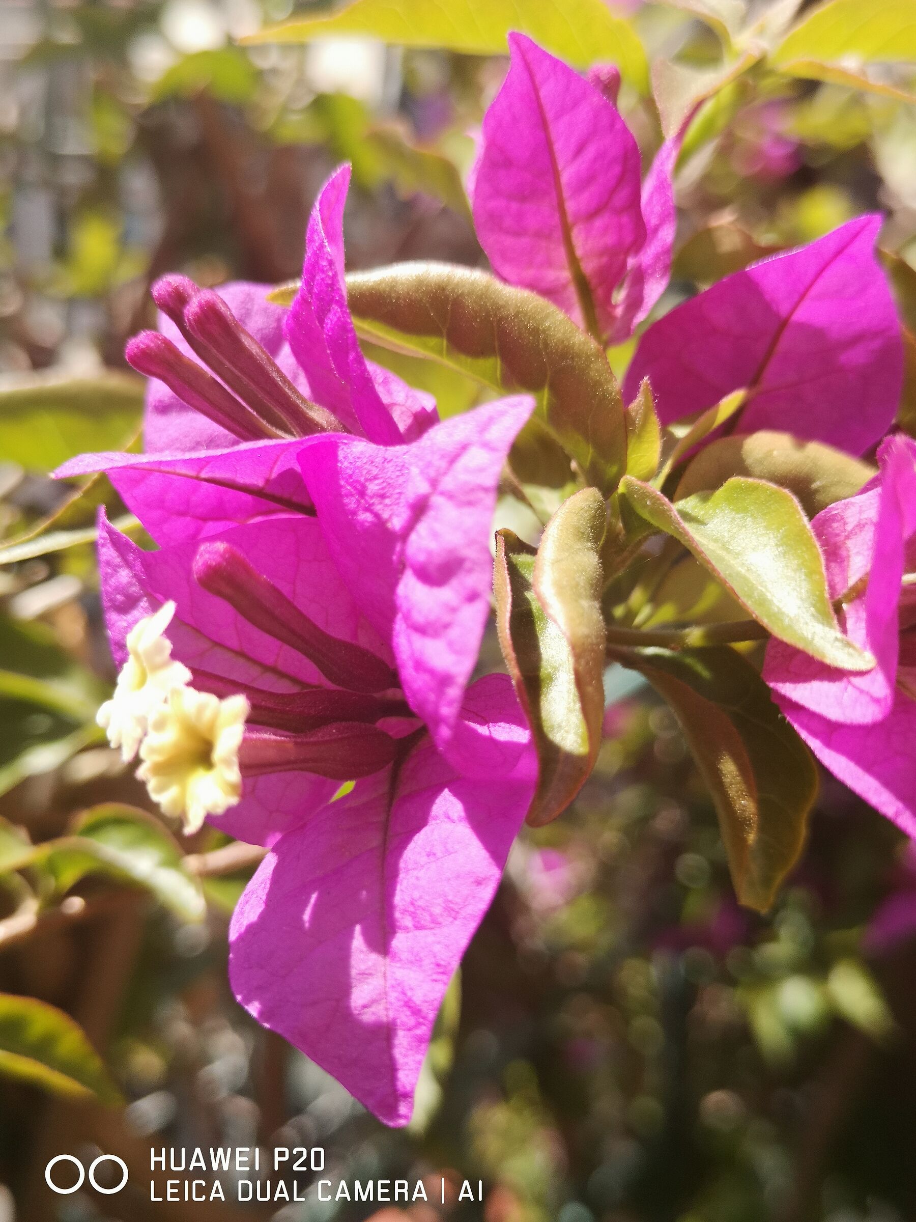 Untitled Photo