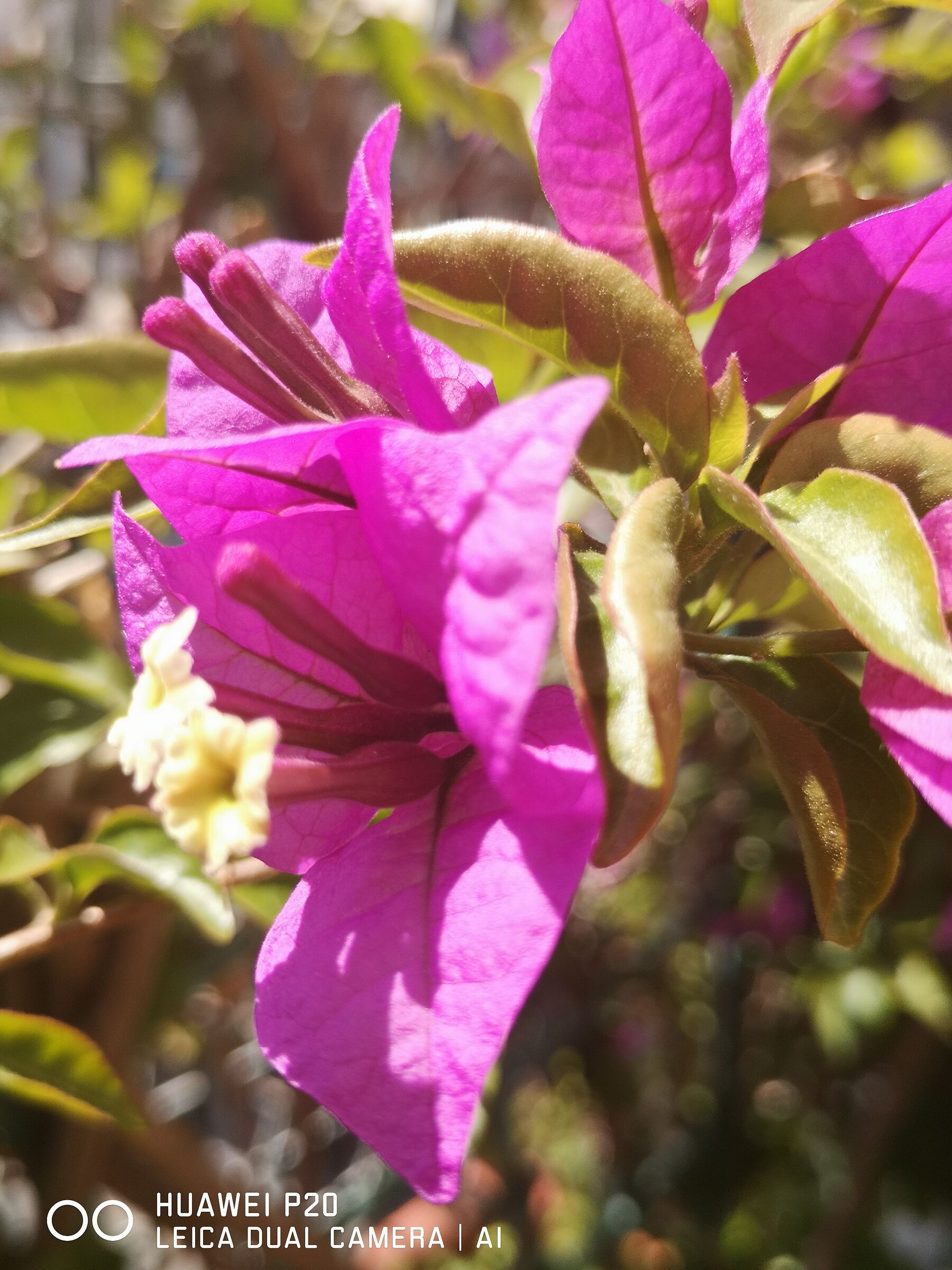Untitled Photo