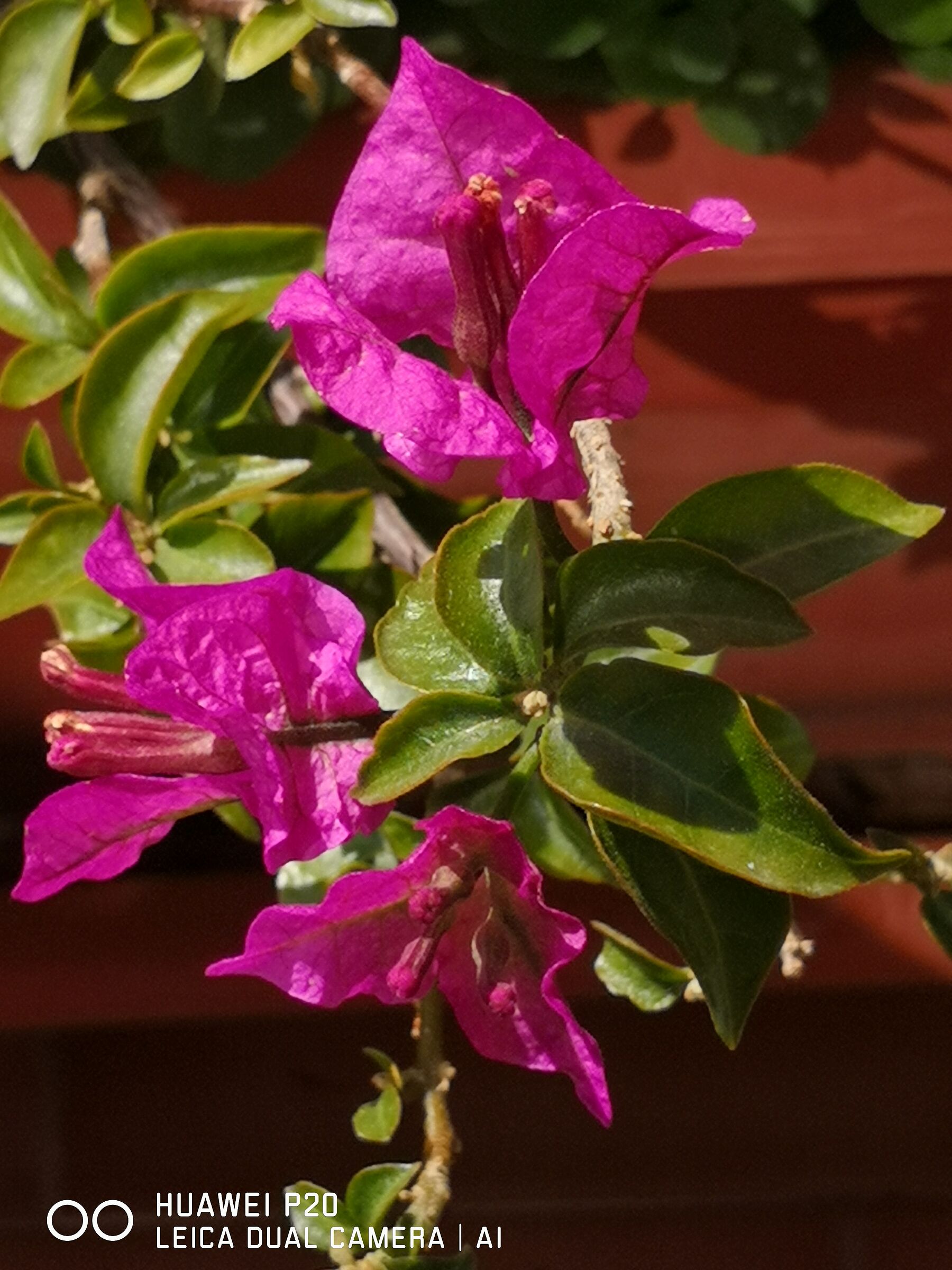 Untitled Photo