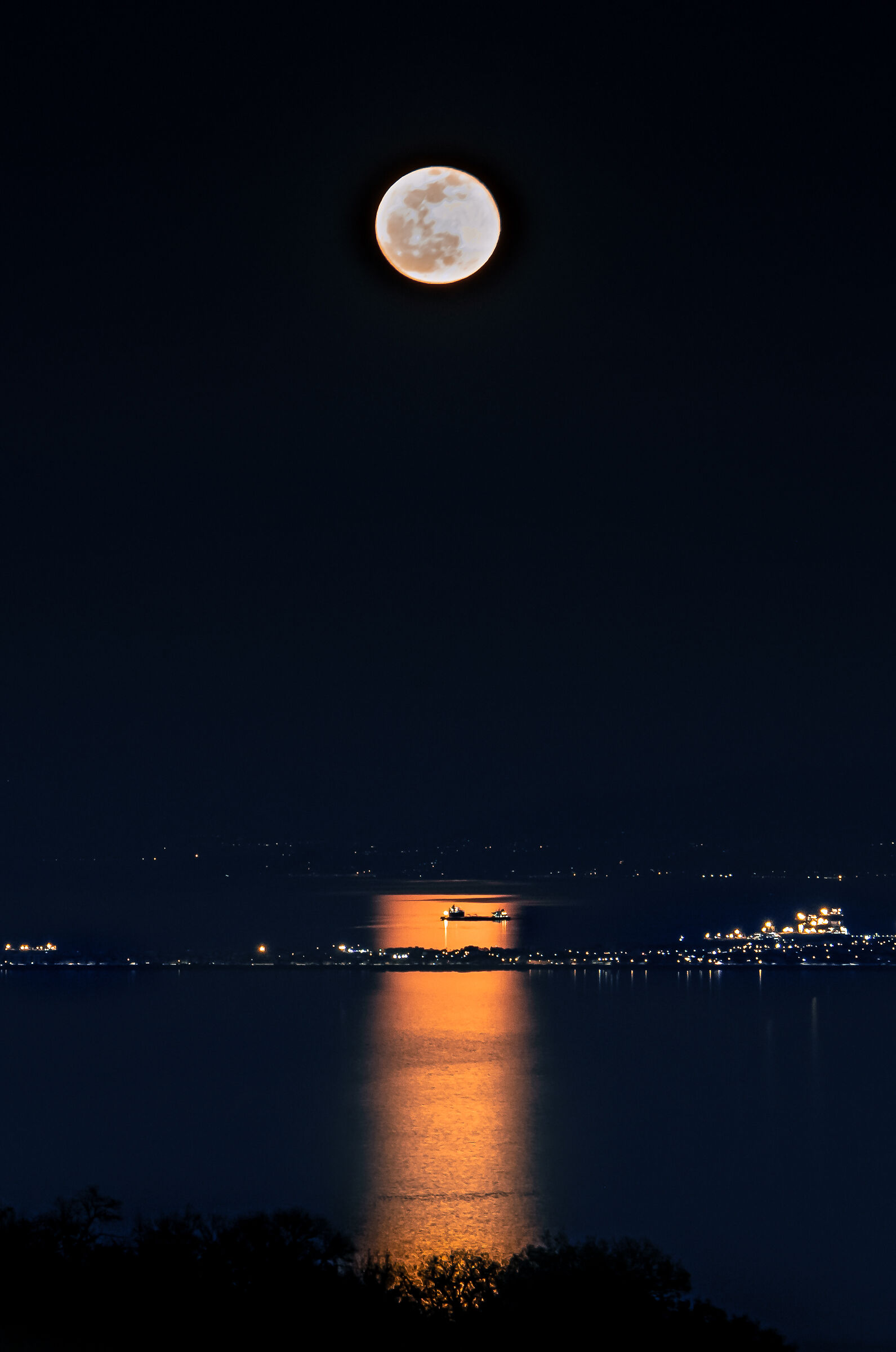 Untitled Photo
