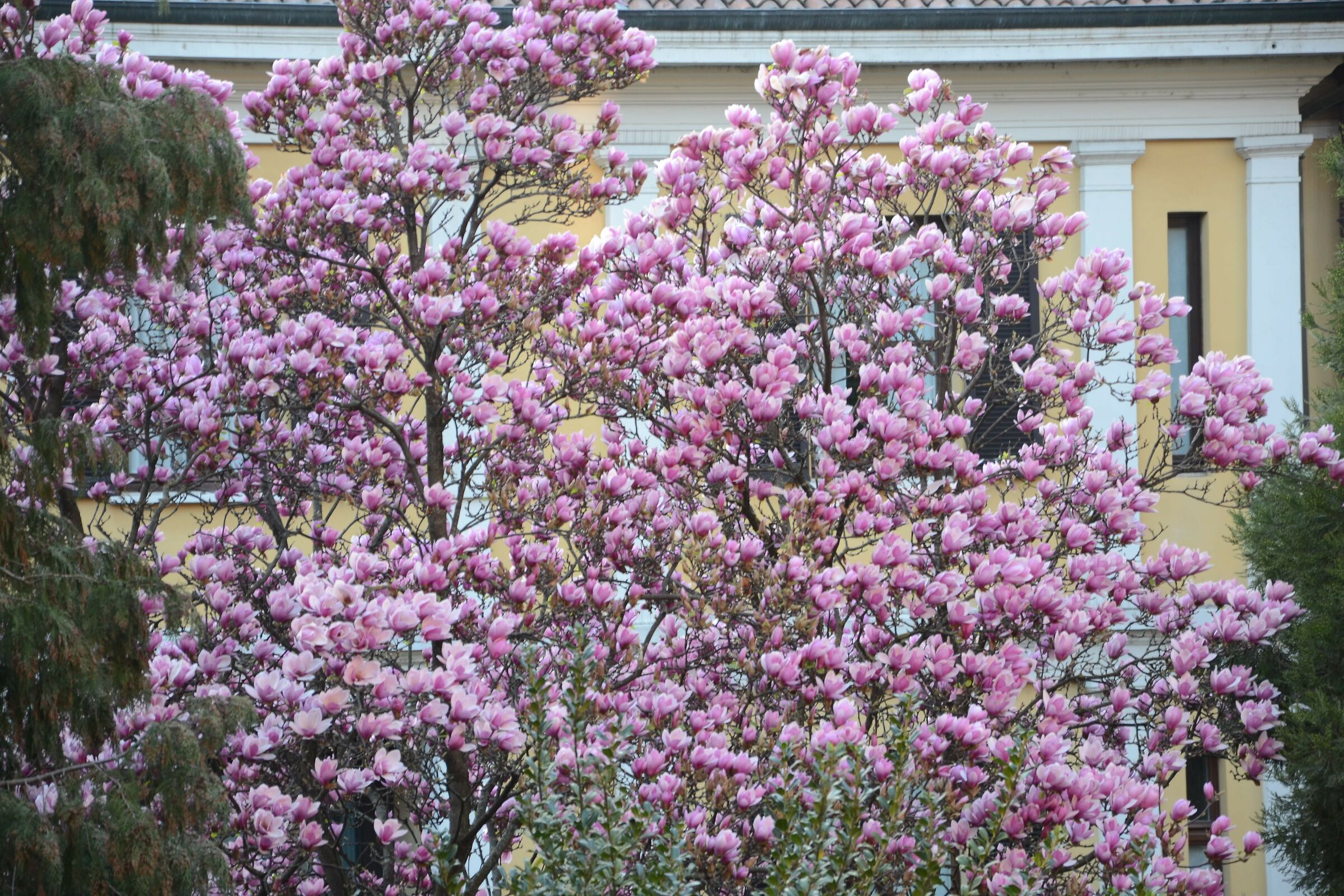 From the balcony of the house