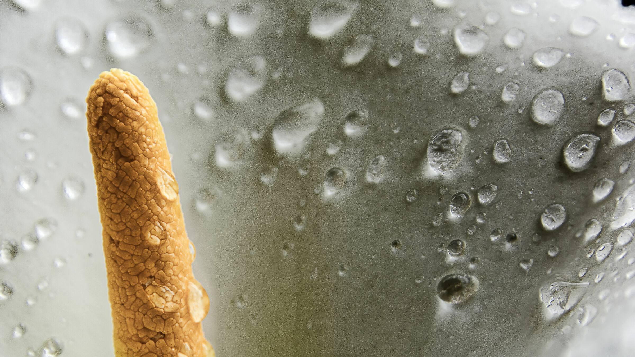 is there a finger on Mars?