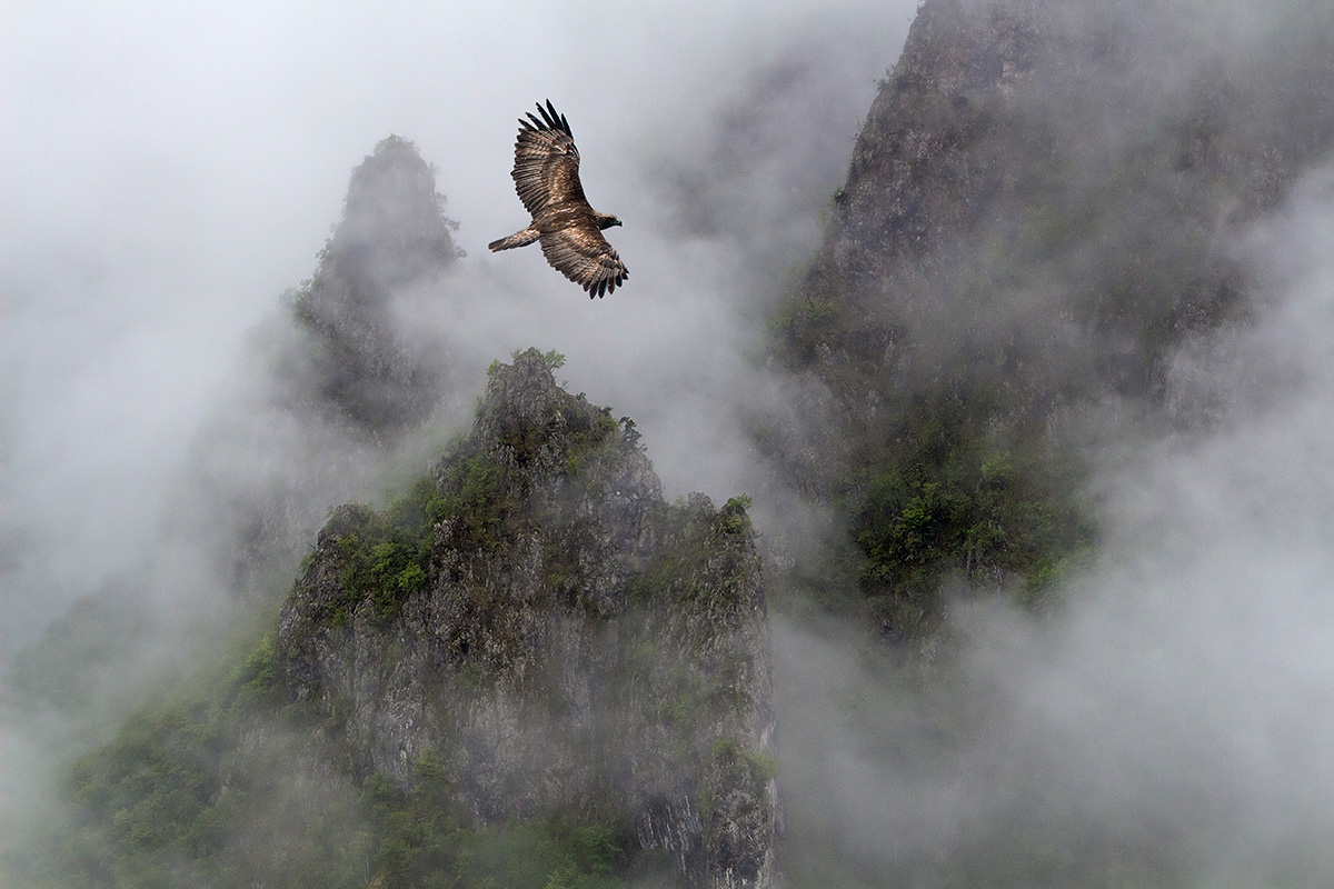 Schiarita tra le nubi