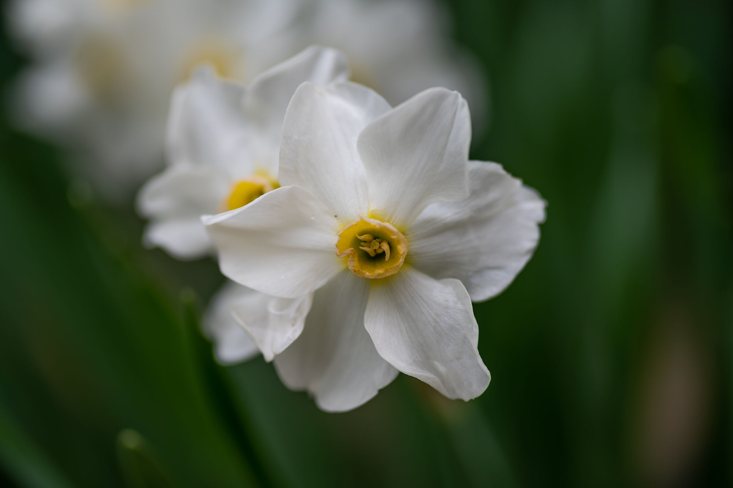 Untitled Photo