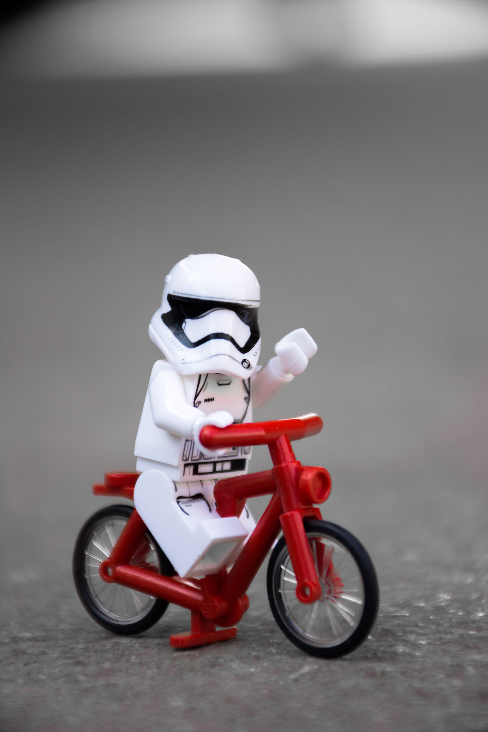 ...pedalando in bicicletta2