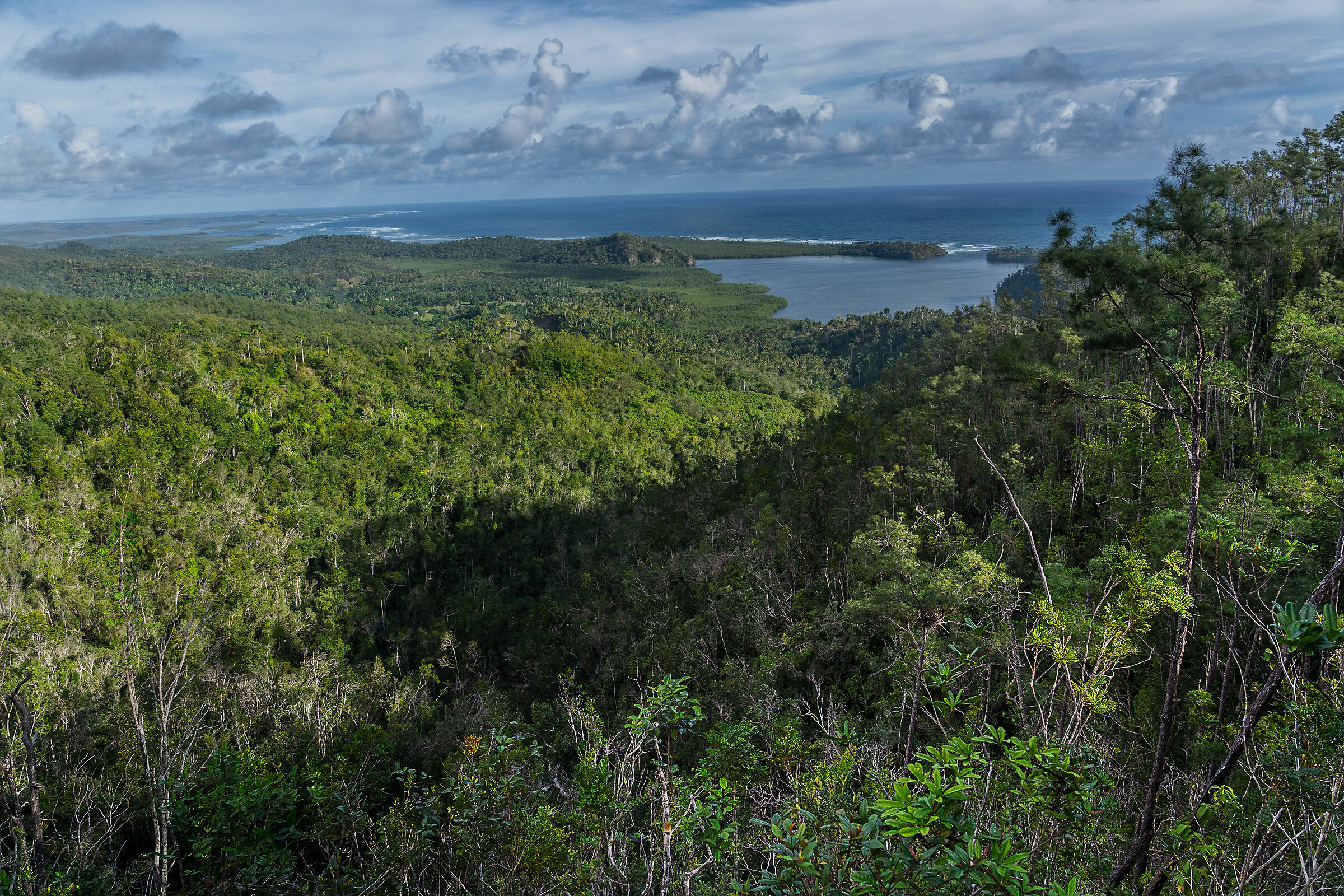 Humboldt National Park, California