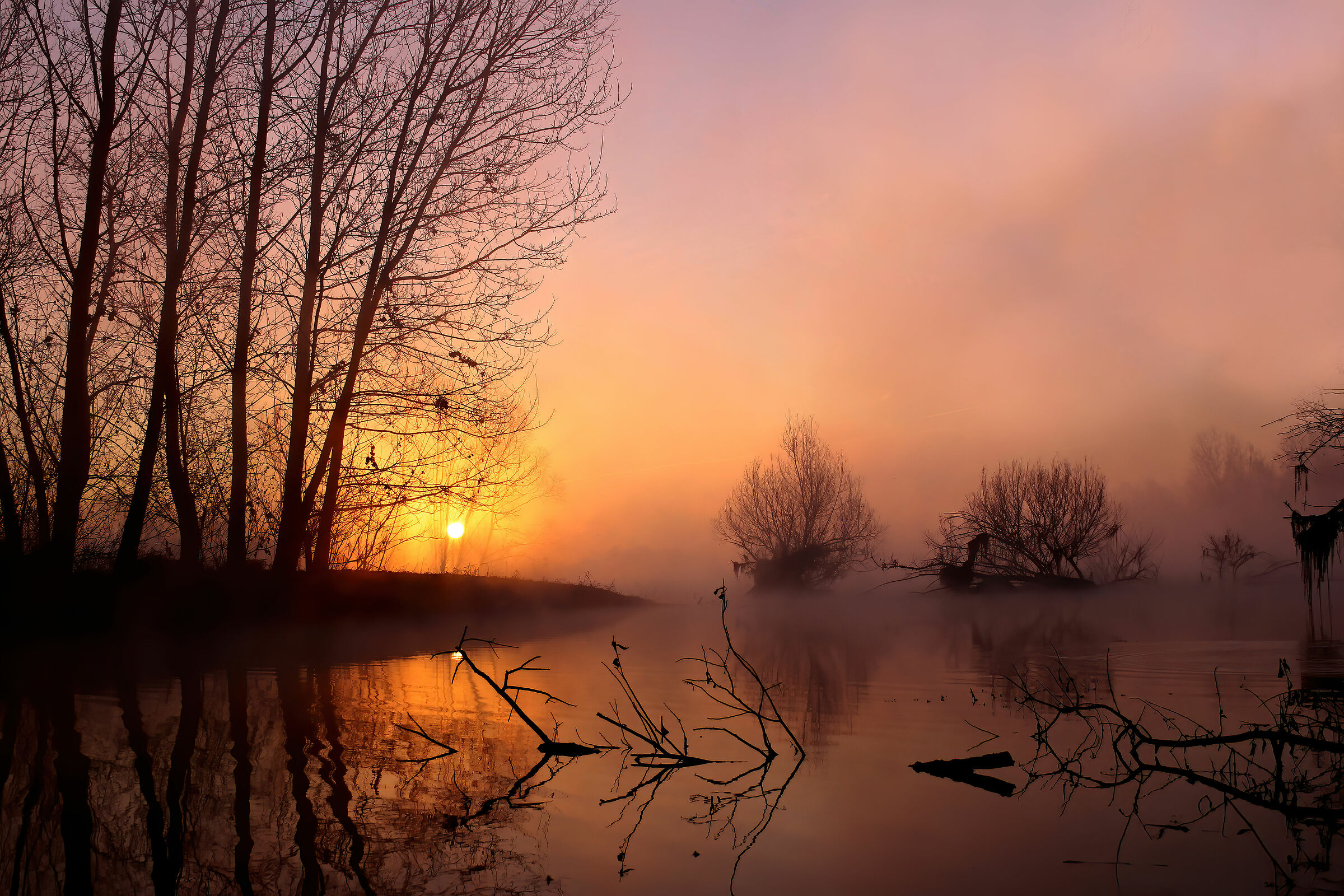 alba sul ticino dopo la piena.