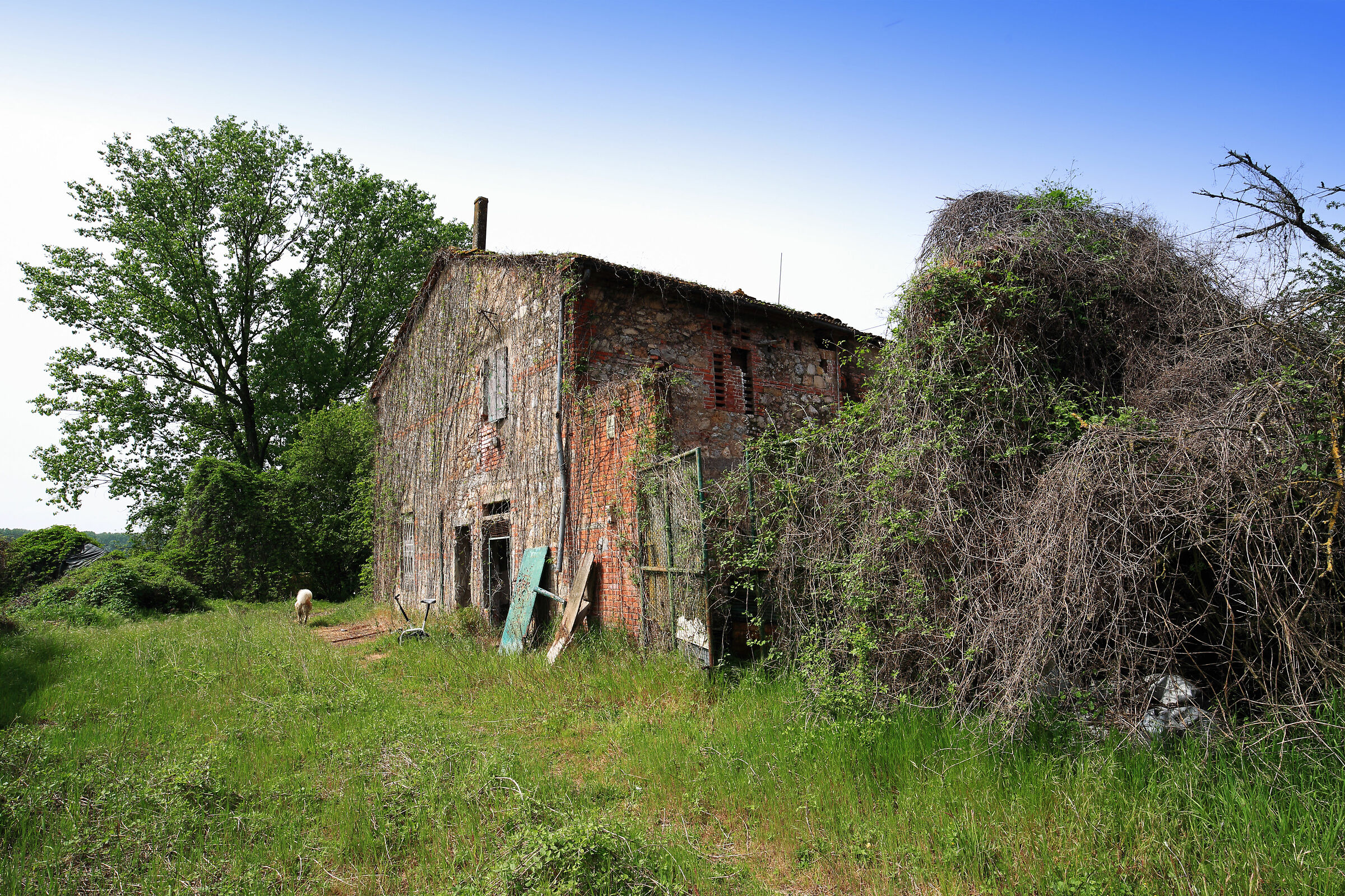 Abandoned cottage